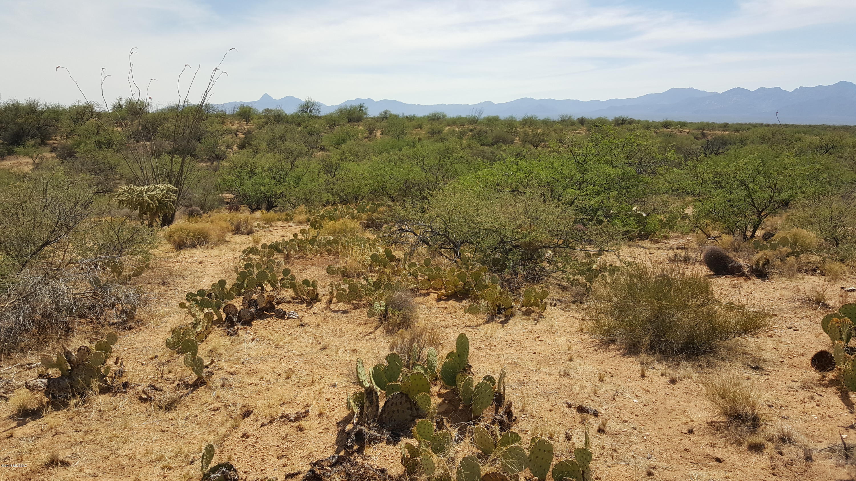 Diamond Bell Ranch - Tucson Unit 5 (1-521) - Land