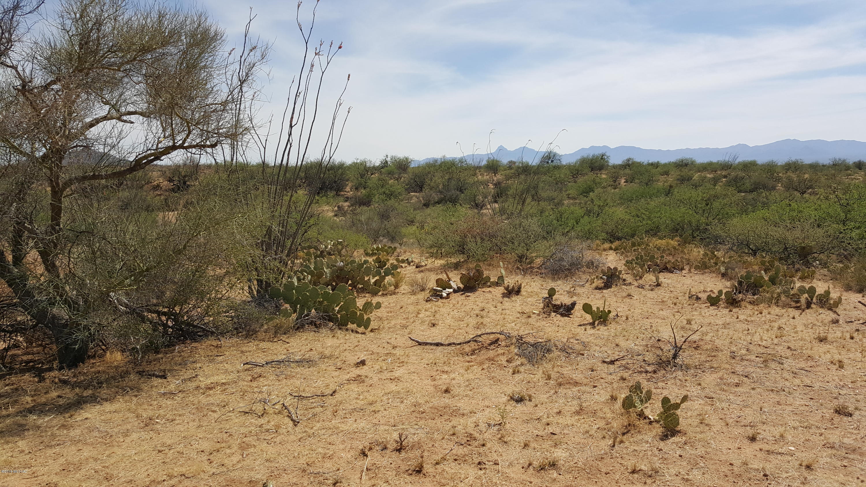 Diamond Bell Ranch - Tucson Unit 5 (1-521) - Land