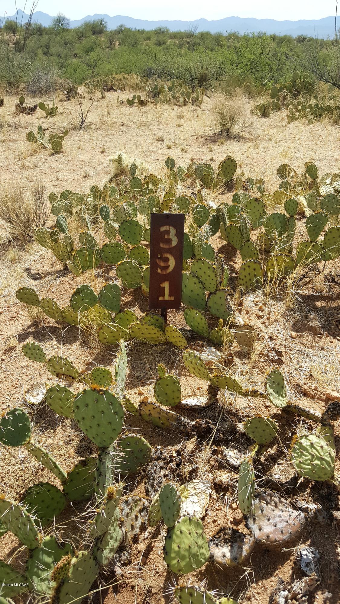 Diamond Bell Ranch - Tucson Unit 5 (1-521) - Land