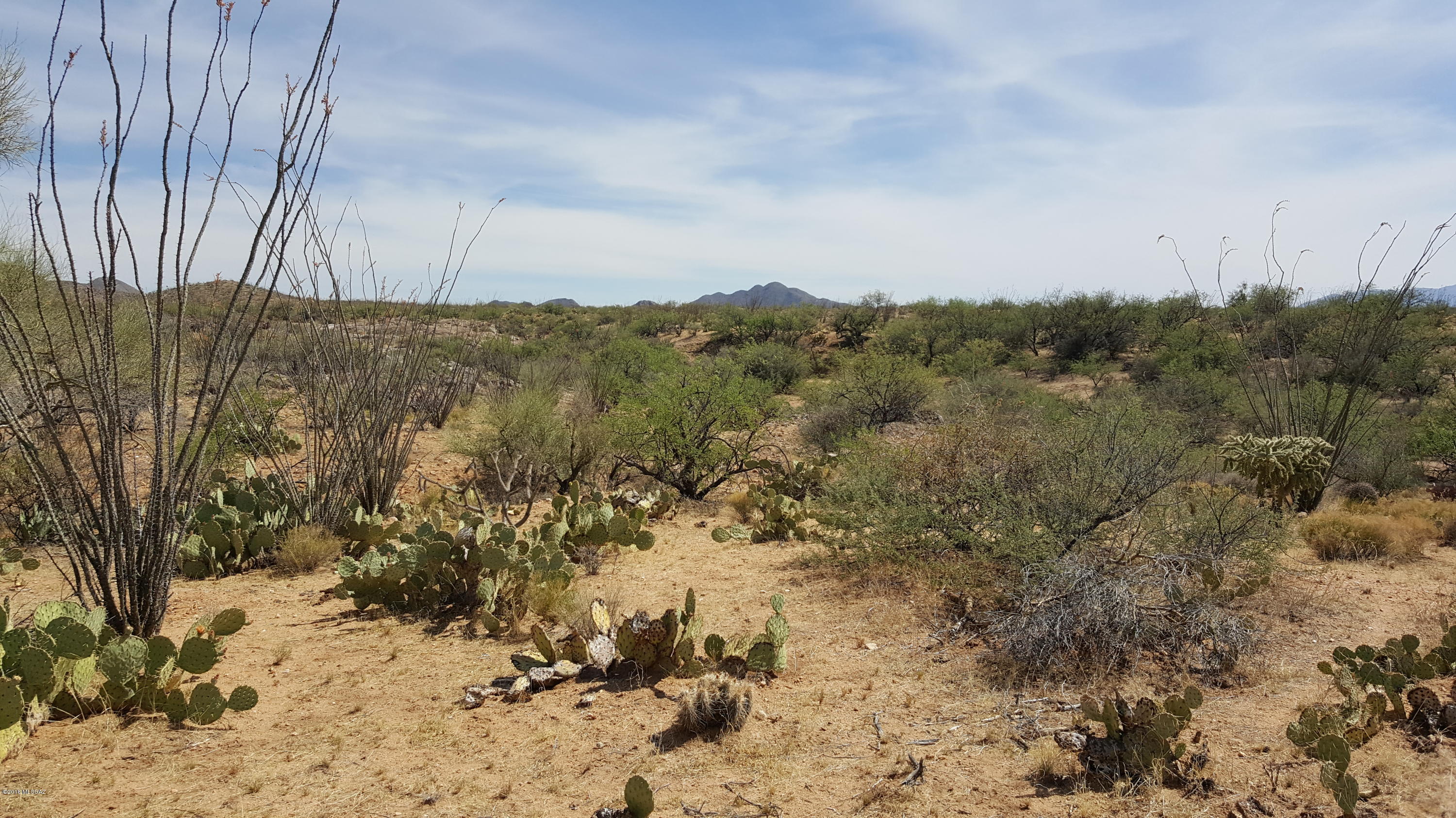 Diamond Bell Ranch - Tucson Unit 5 (1-521) - Land