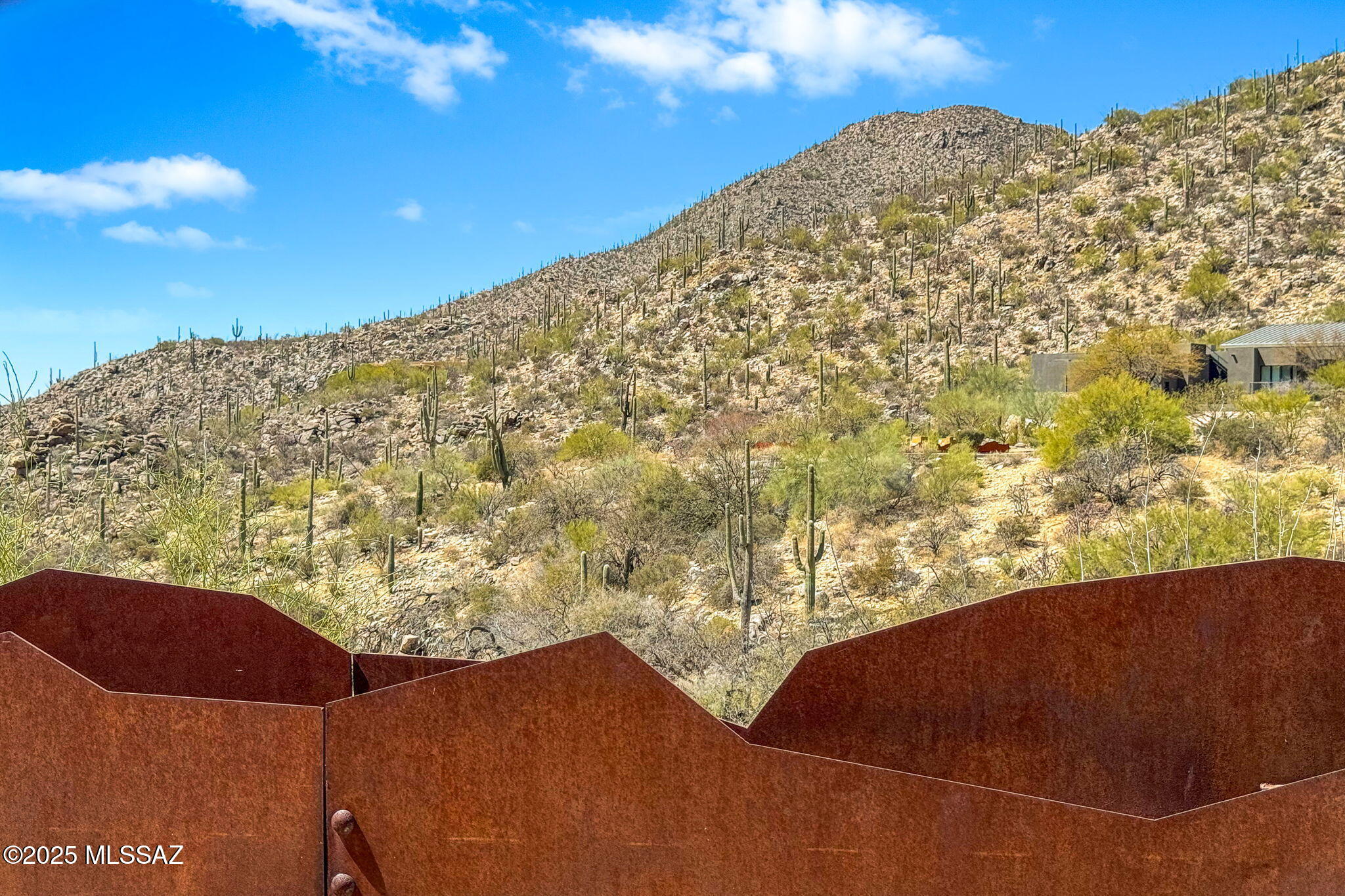 Canyon Pass III At Dove Mountain (111-181) - Land