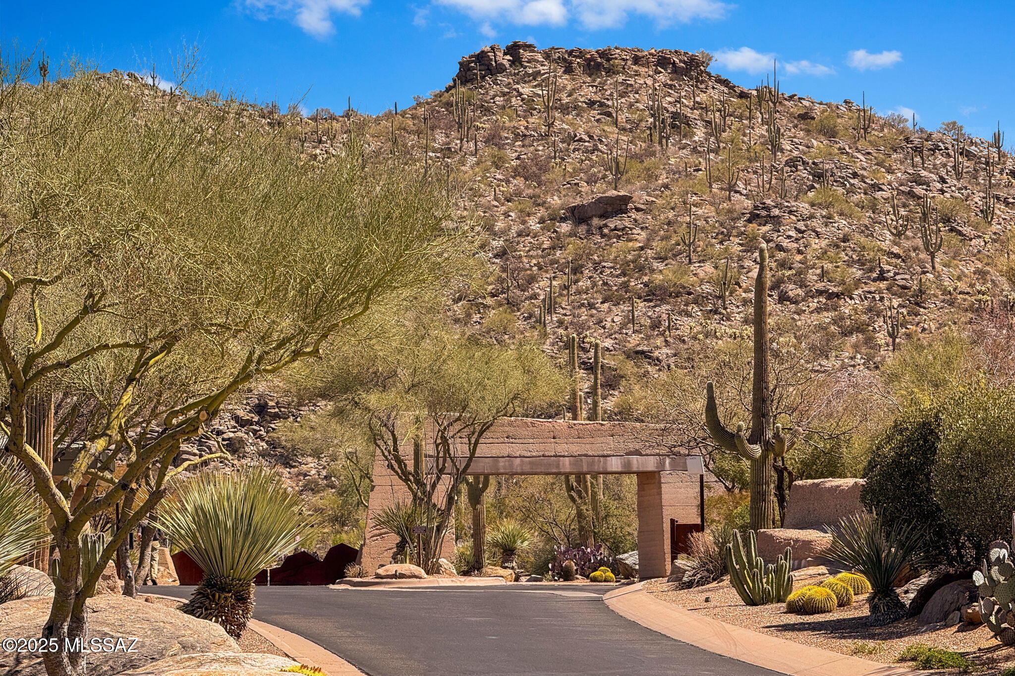 Canyon Pass III At Dove Mountain (111-181) - Land