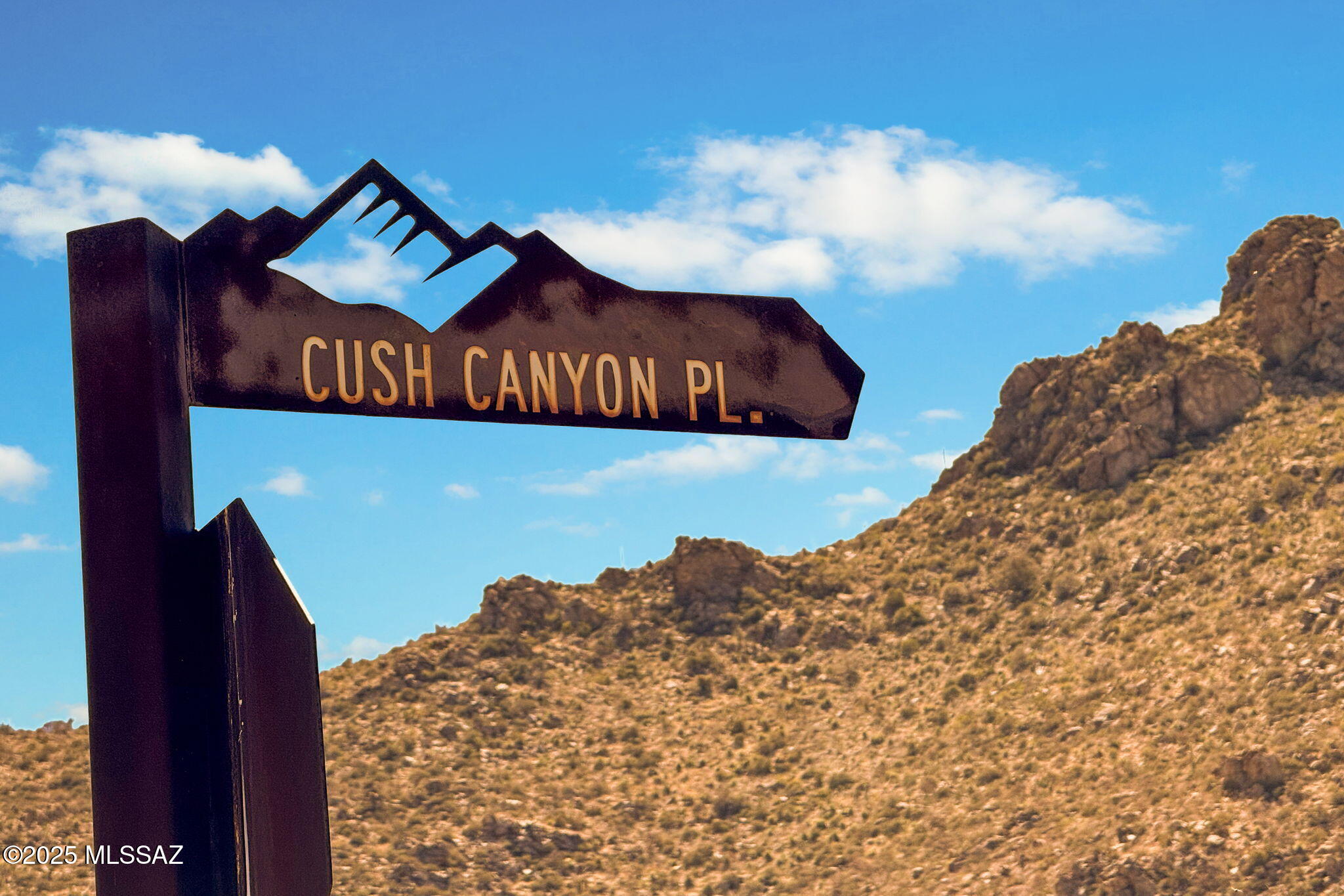 Canyon Pass III At Dove Mountain (111-181) - Land