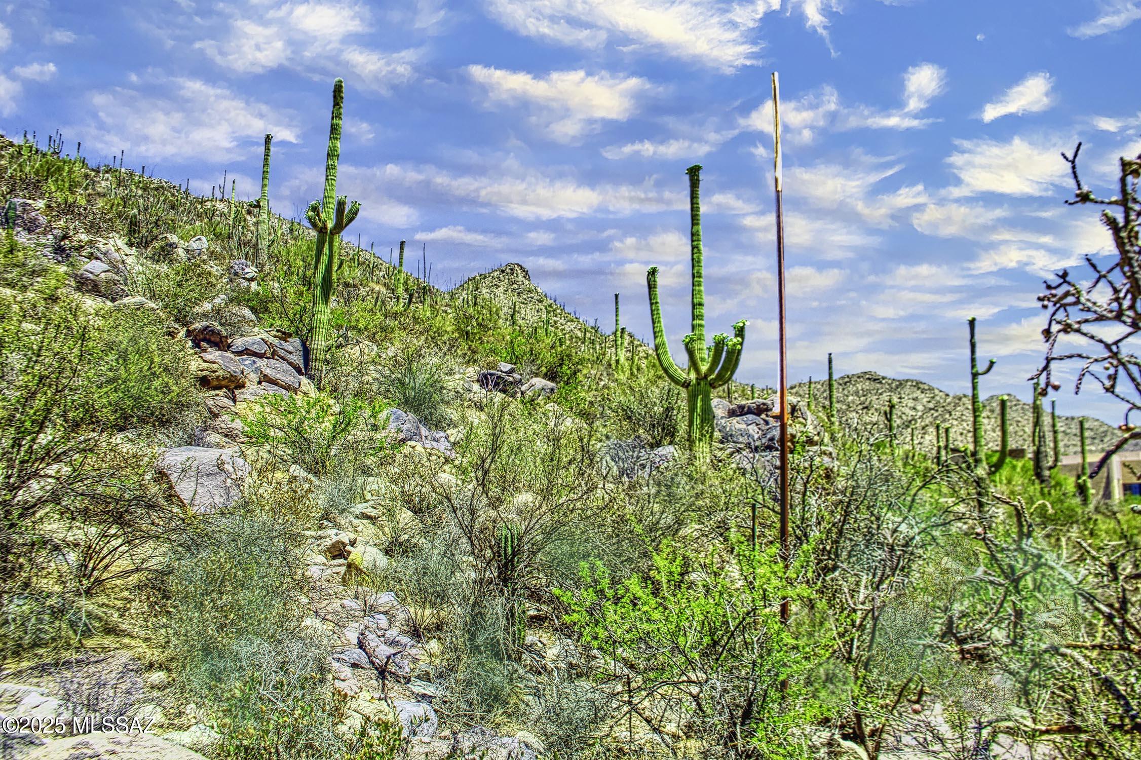 Canyon Pass III At Dove Mountain (111-181) - Land