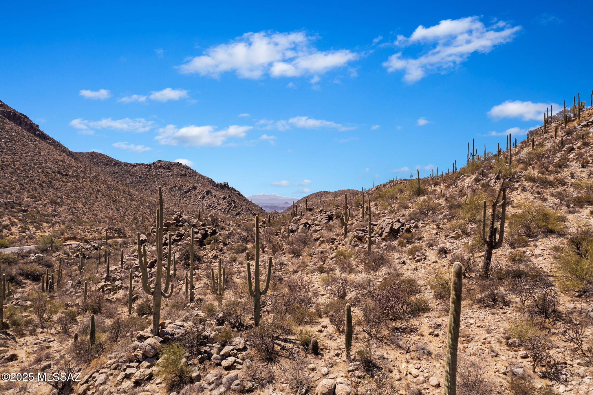 Canyon Pass III At Dove Mountain (111-181) - Land