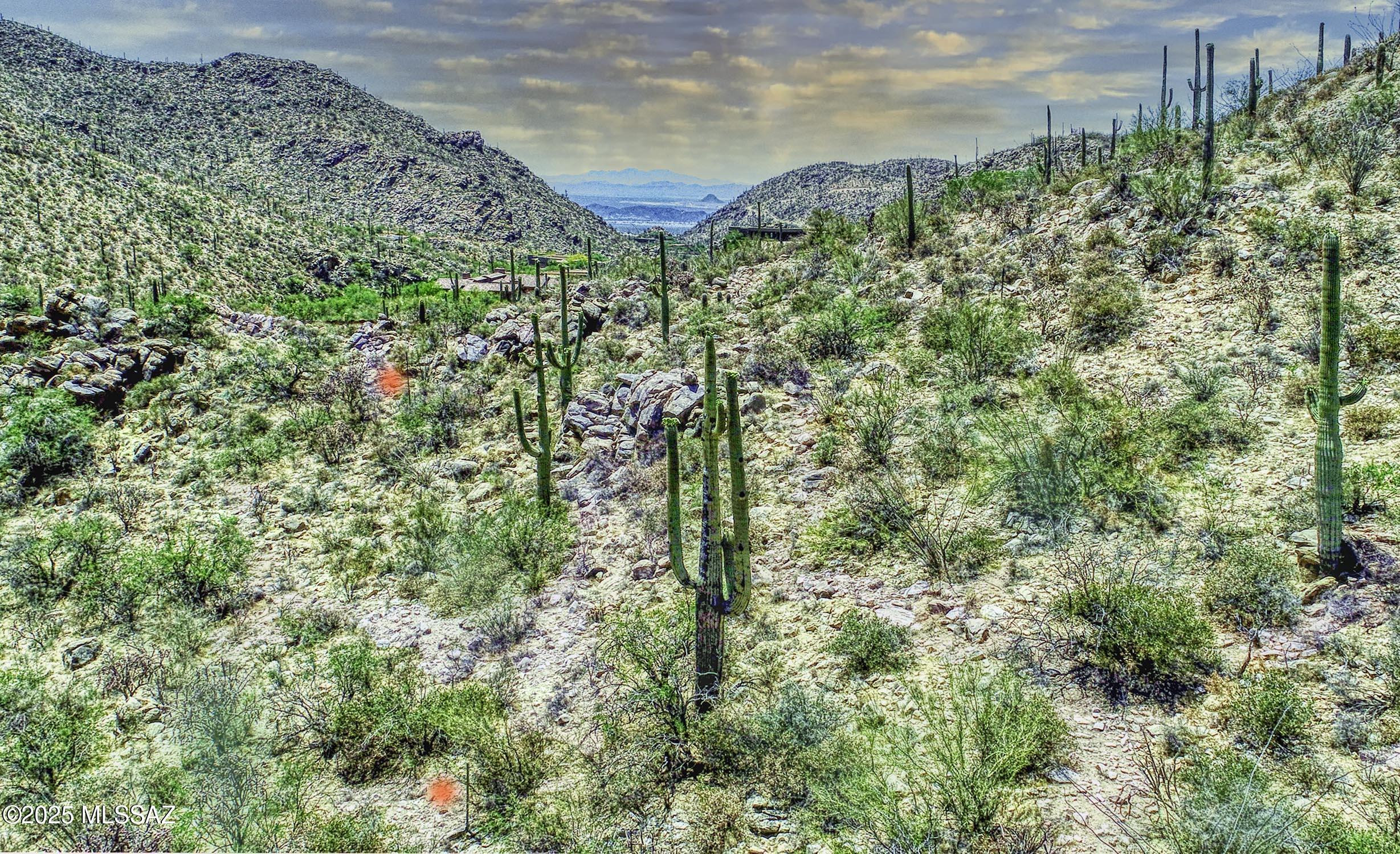 Canyon Pass III At Dove Mountain (111-181) - Land