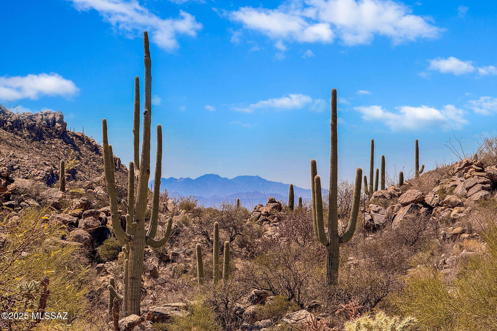 Canyon Pass III At Dove Mountain (111-181) - Land