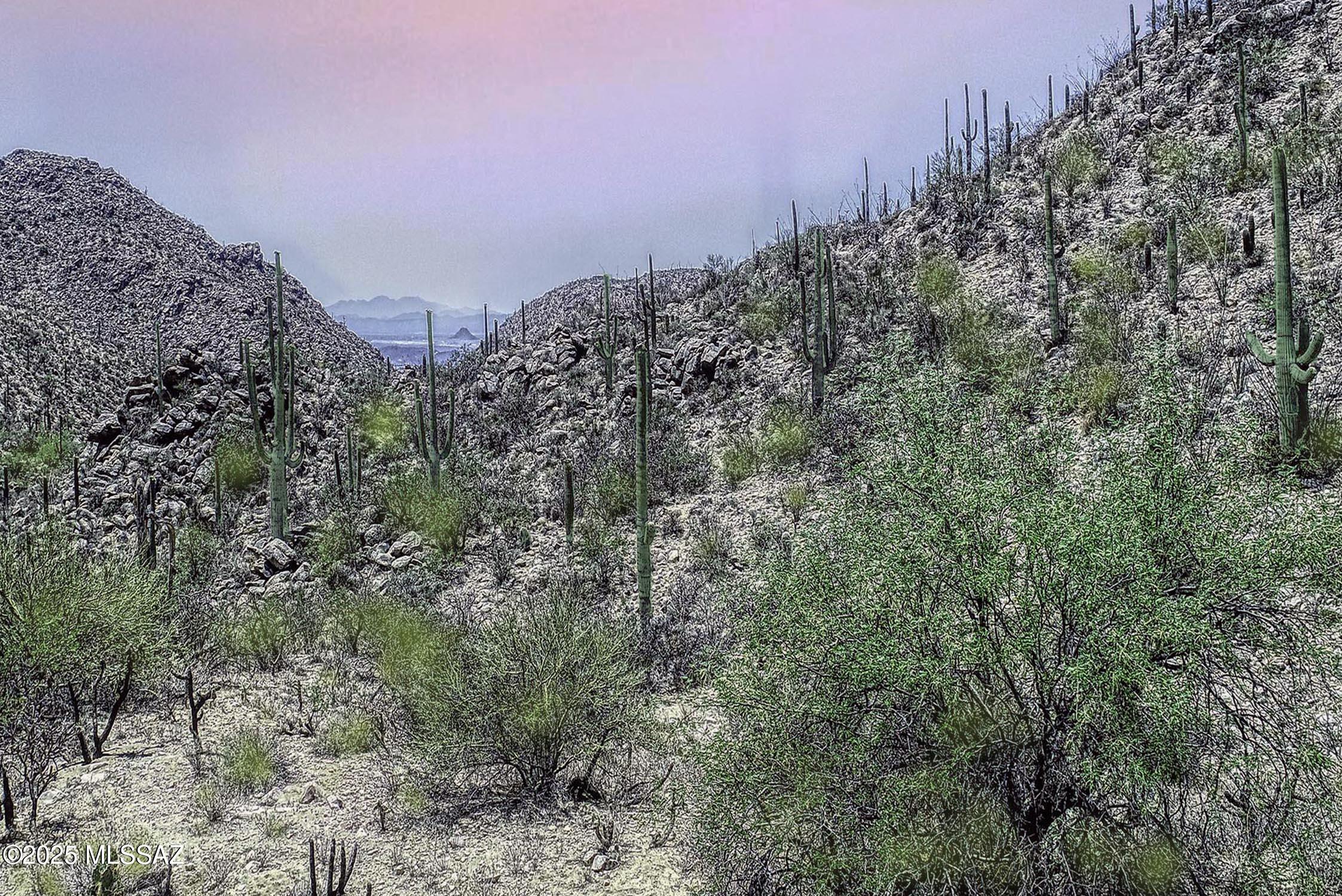 Canyon Pass III At Dove Mountain (111-181) - Land