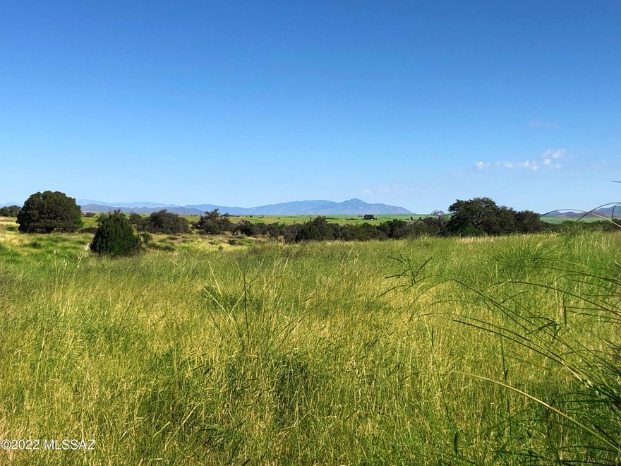 Rare opportunity to own 40 acres with easy building site. Excellent location just off Vaughn Loop and Highway 83. . Electric available. Spectacular mountain and valley views and huge potential. Easy access to Parker Canyon Lake, local wineries,  and an easy commute to Sierra Vista.
Adjacent land available for sale MLS # 22215072