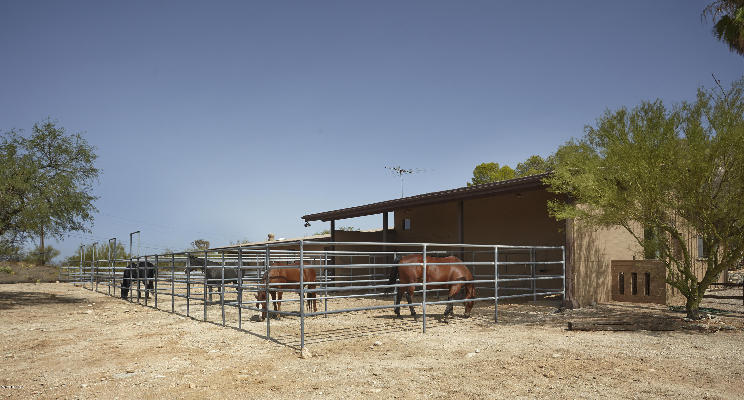 Cobo Catalina Hills (1-51) - Residential