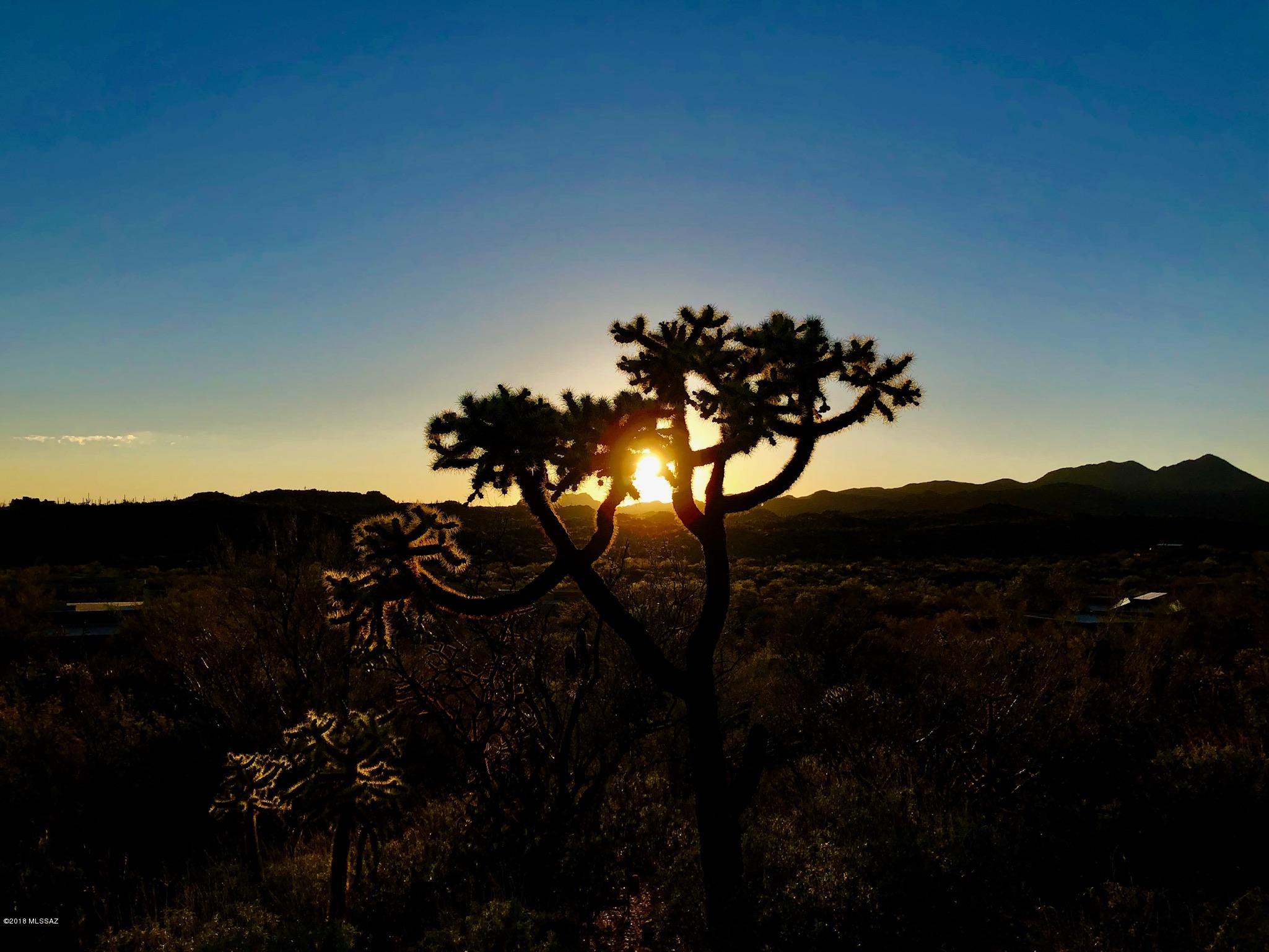 Honey Bee Ridge(The Estates At) - Land
