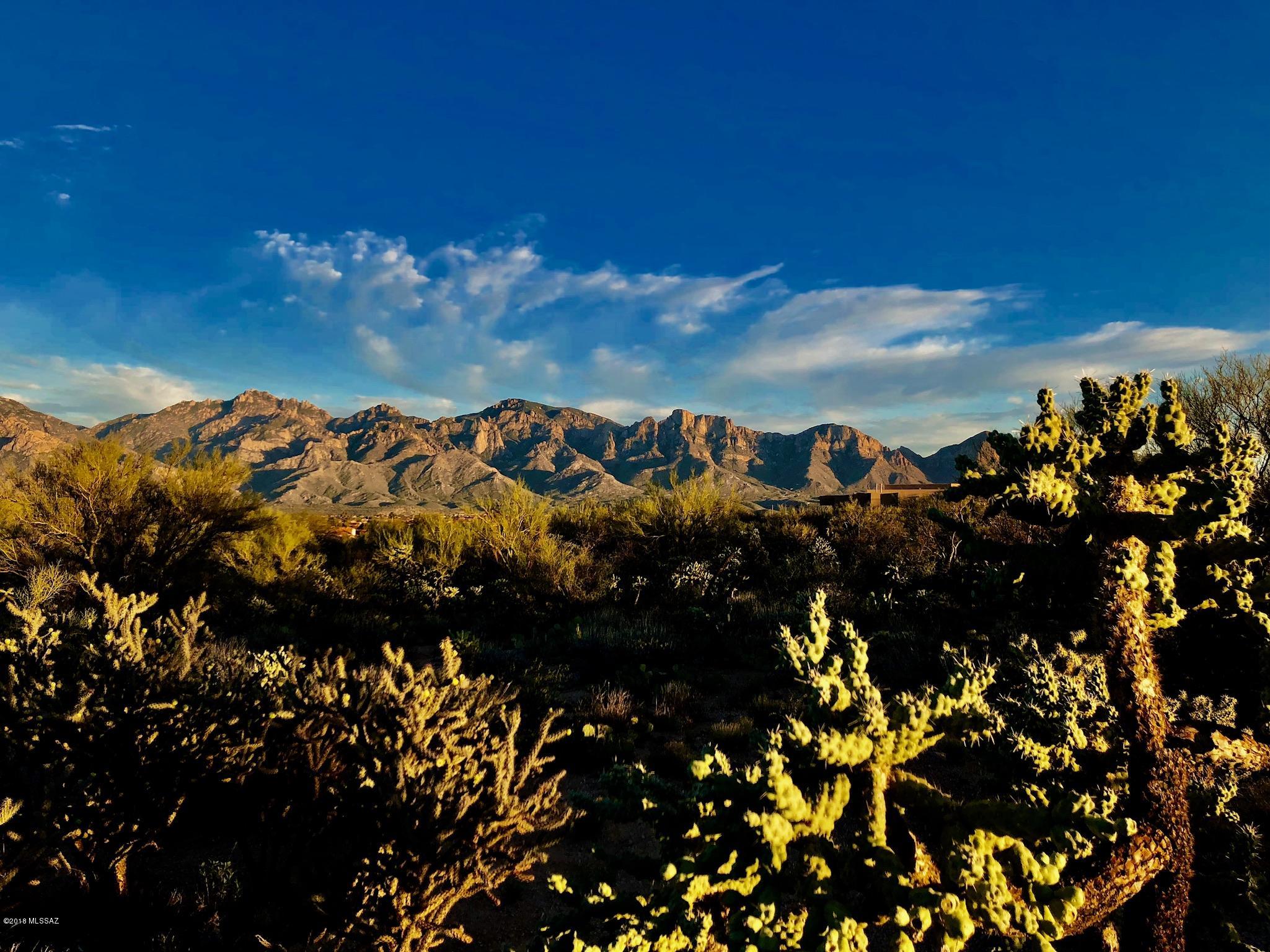 Honey Bee Ridge(The Estates At) - Land