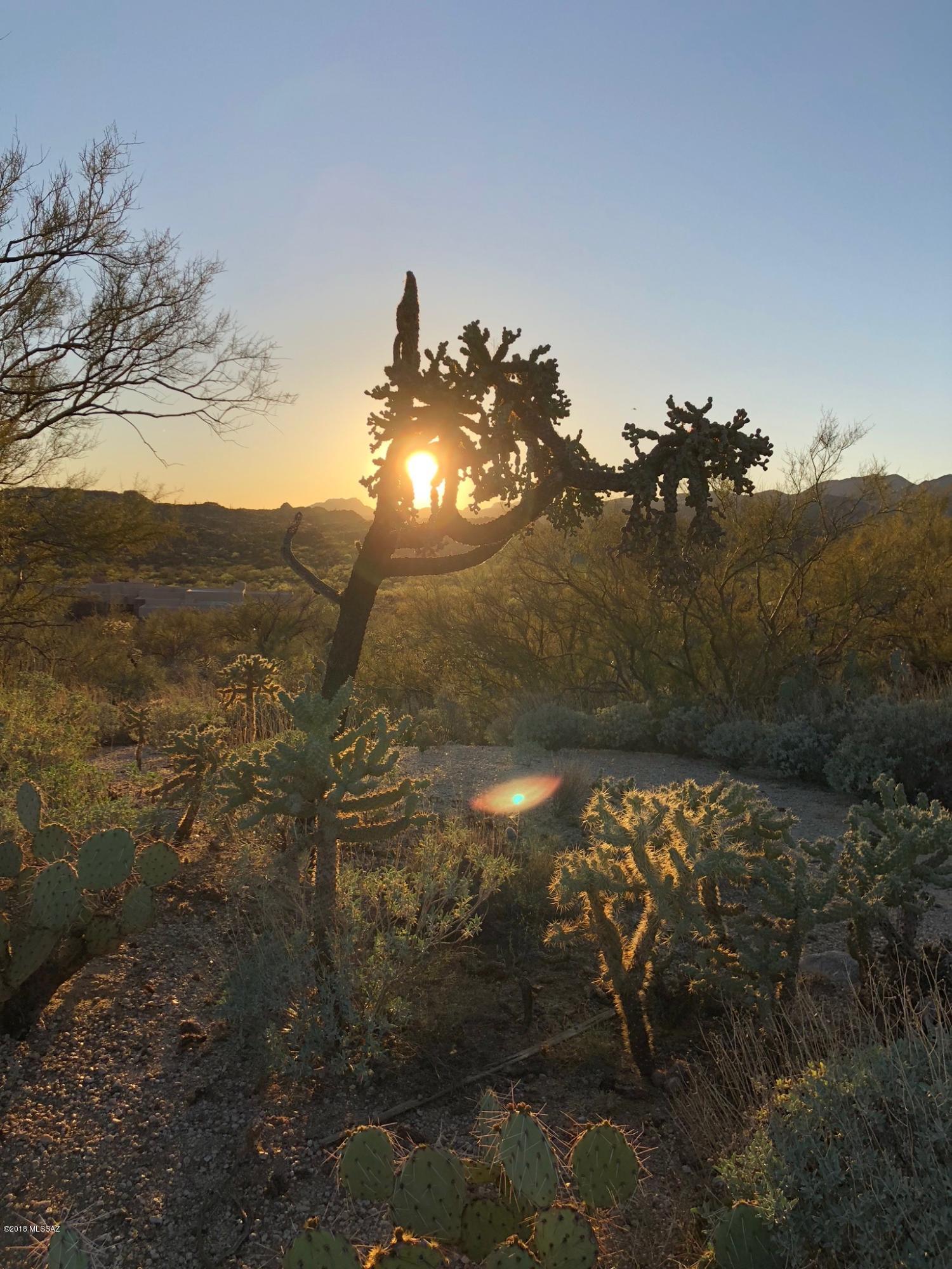 Honey Bee Ridge(The Estates At) - Land