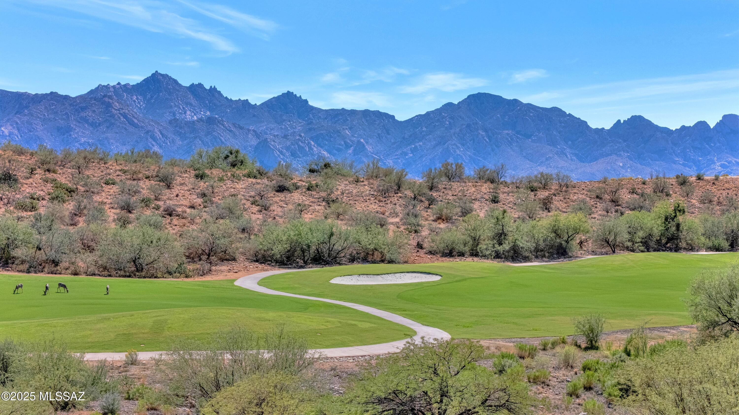 62165 E Valley Crest Court