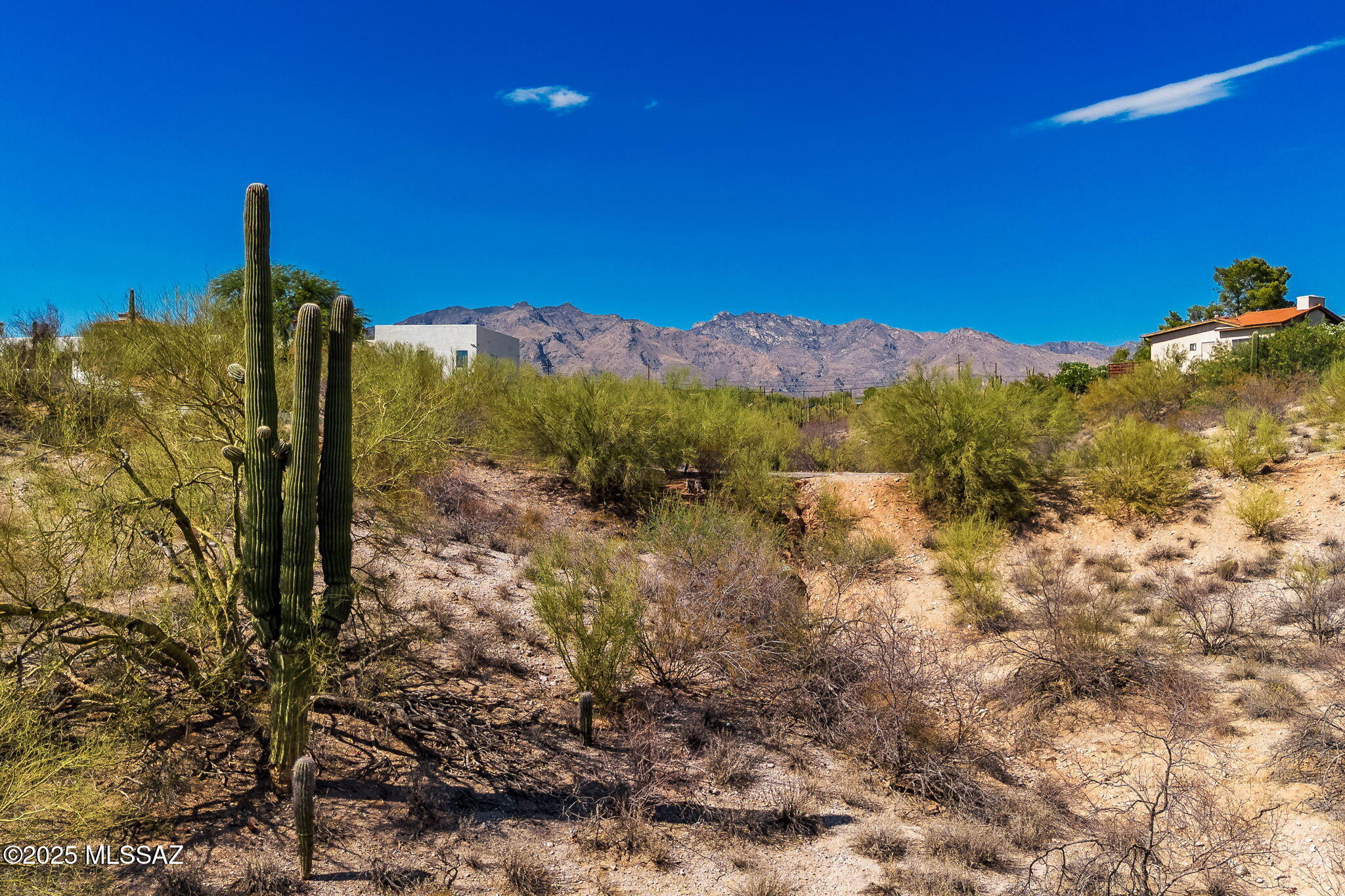 4627 E Coachlight Lane 10