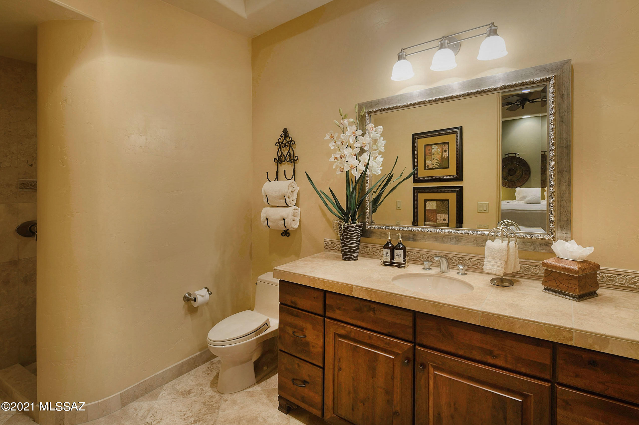Canyon Pass At Dove Mountain - Residential