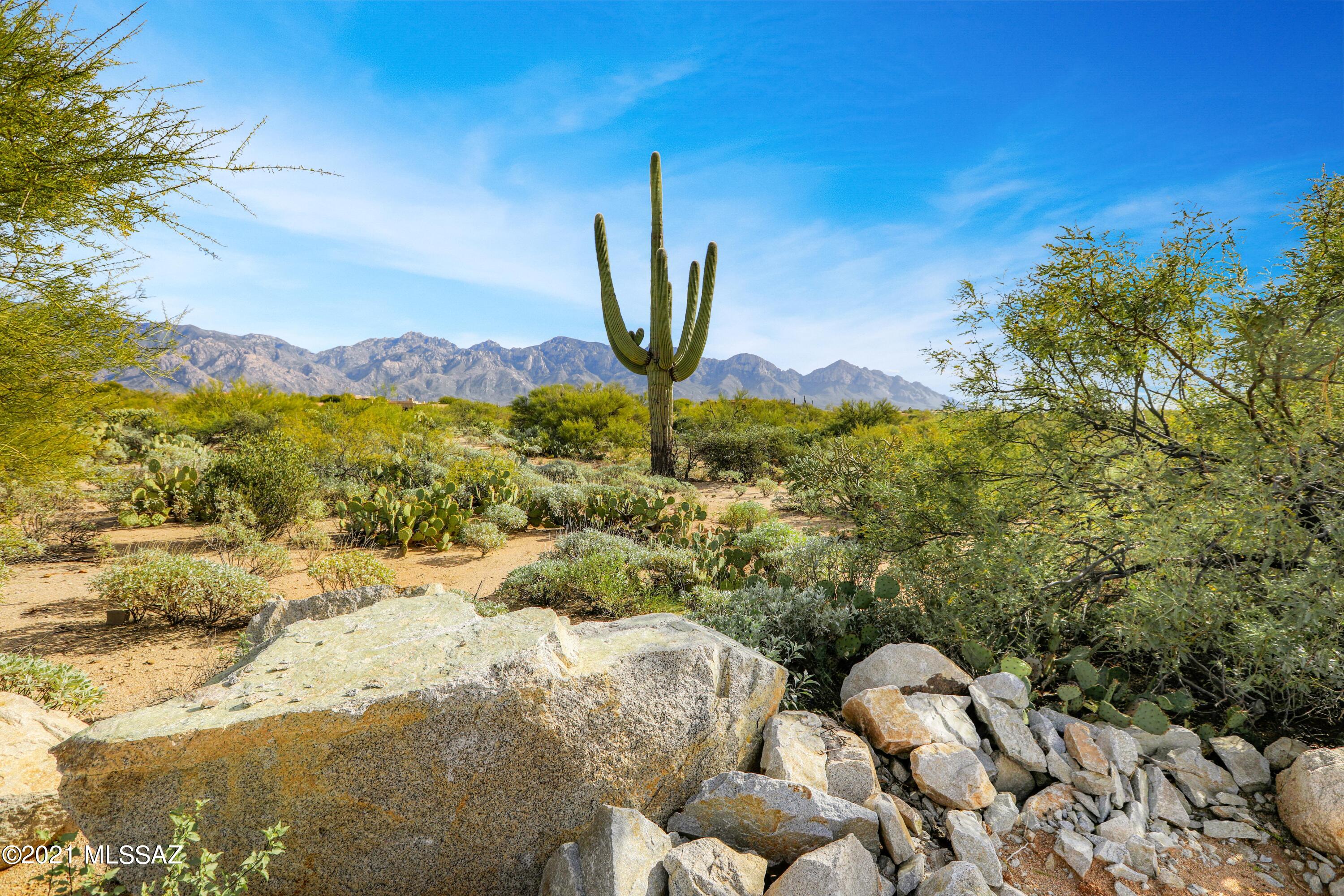 Stone Canyon VIII (486-602) - Residential