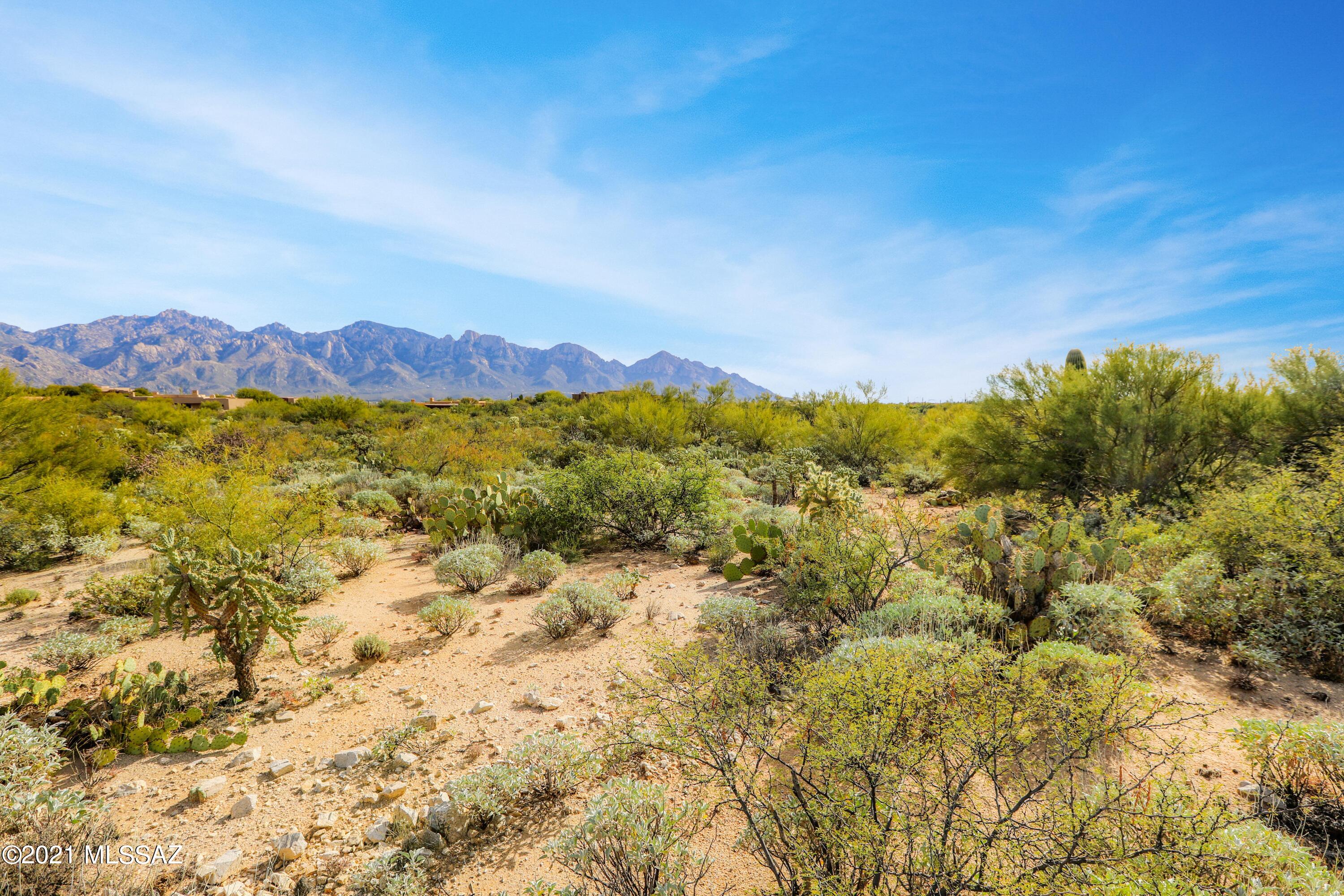 Stone Canyon VIII (486-602) - Residential