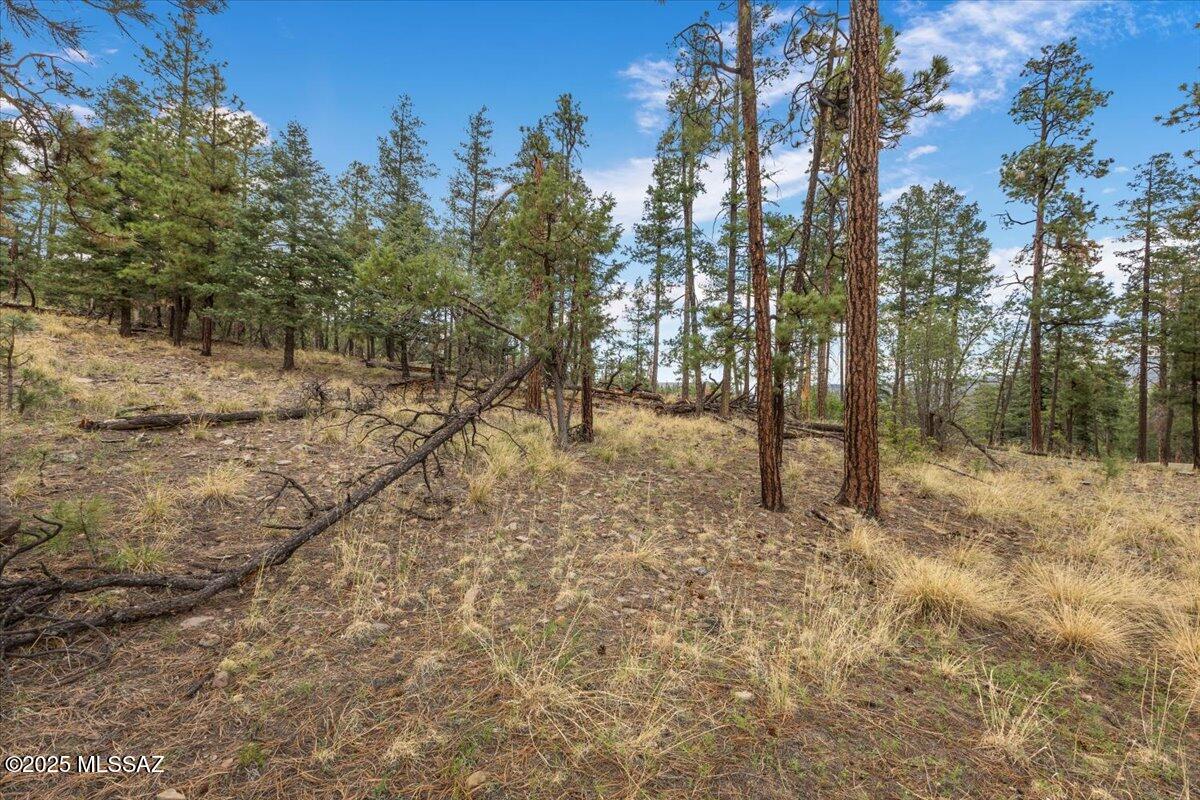 Out Of Pima County - Land