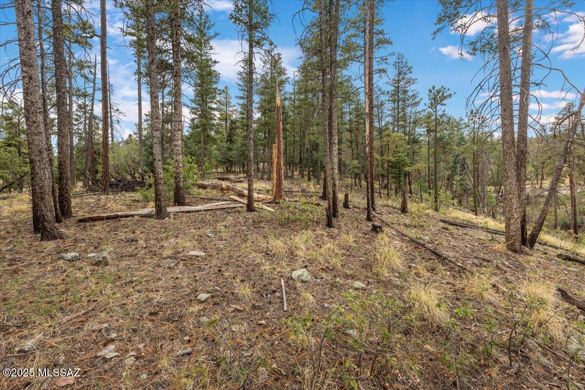 Out Of Pima County - Land