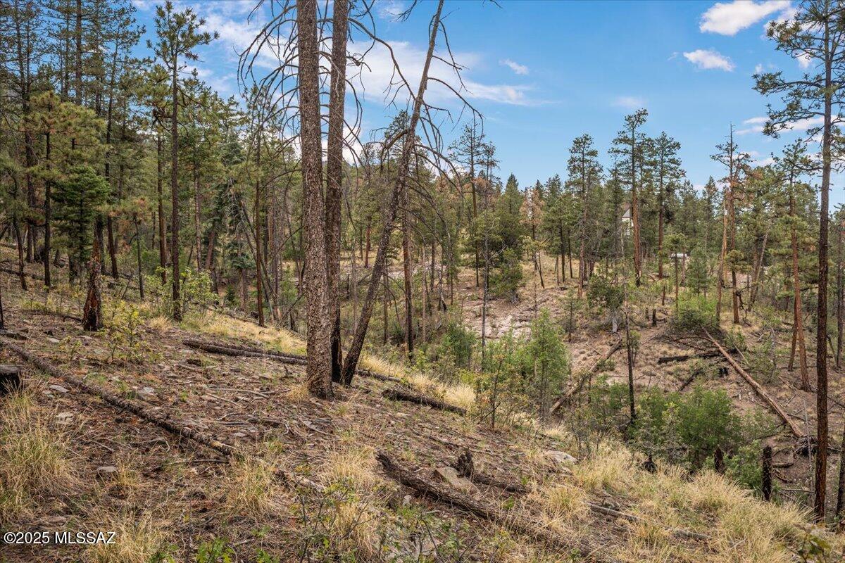 Out Of Pima County - Land