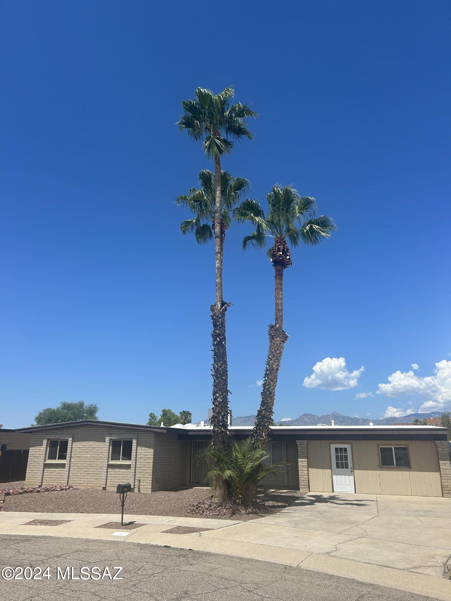 Mira Mesa (1-47) - Residential
