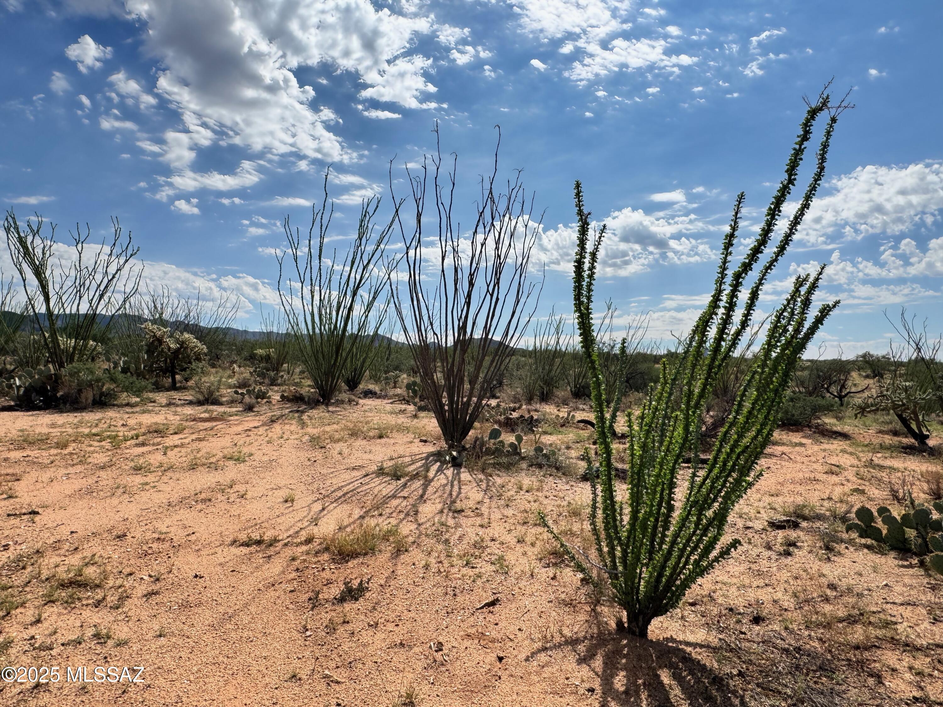 Diamond Bell Ranch - Tucson Unit 6 (1-435) - Land