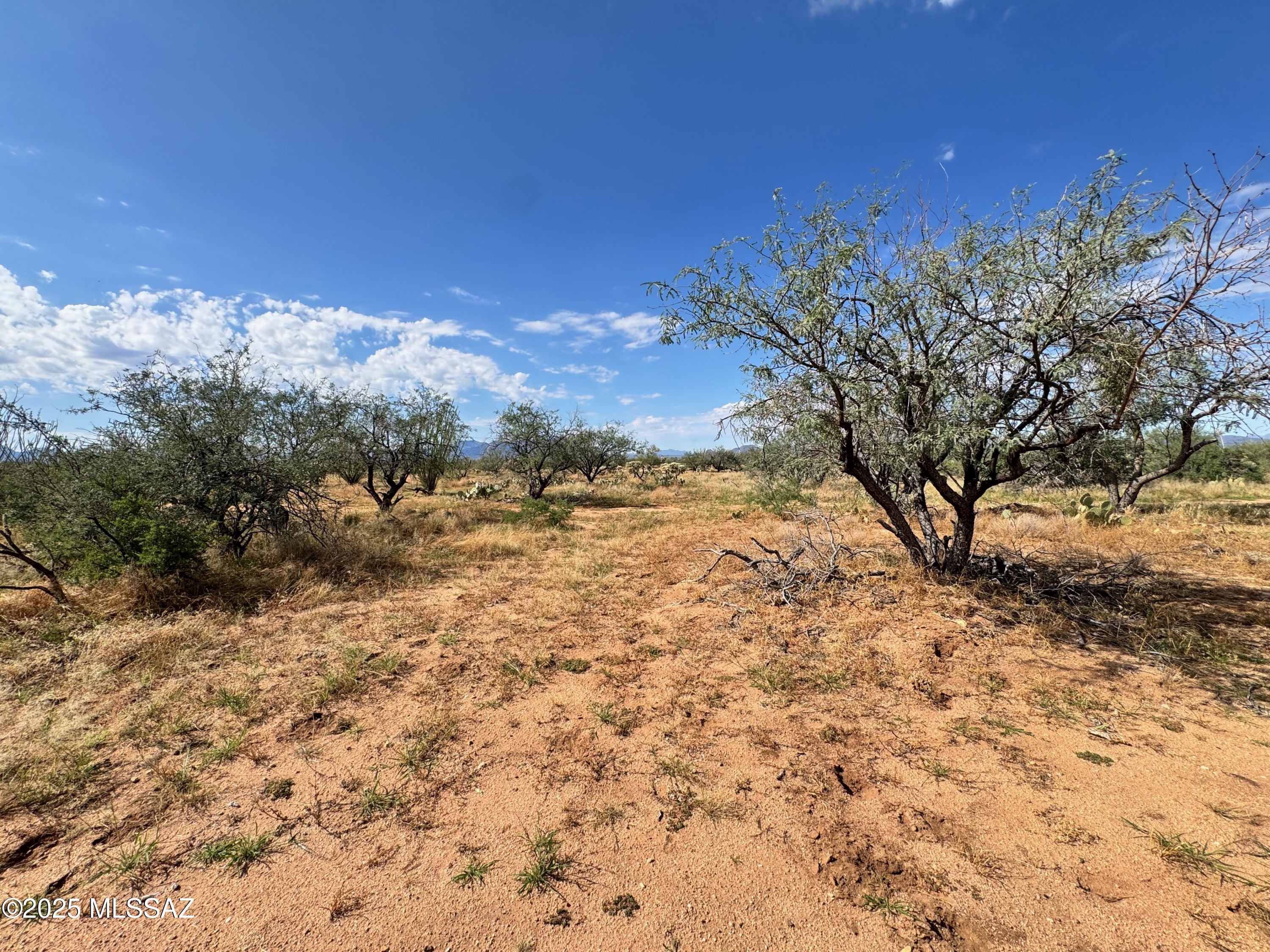 Diamond Bell Ranch - Tucson Unit 6 (1-435) - Land
