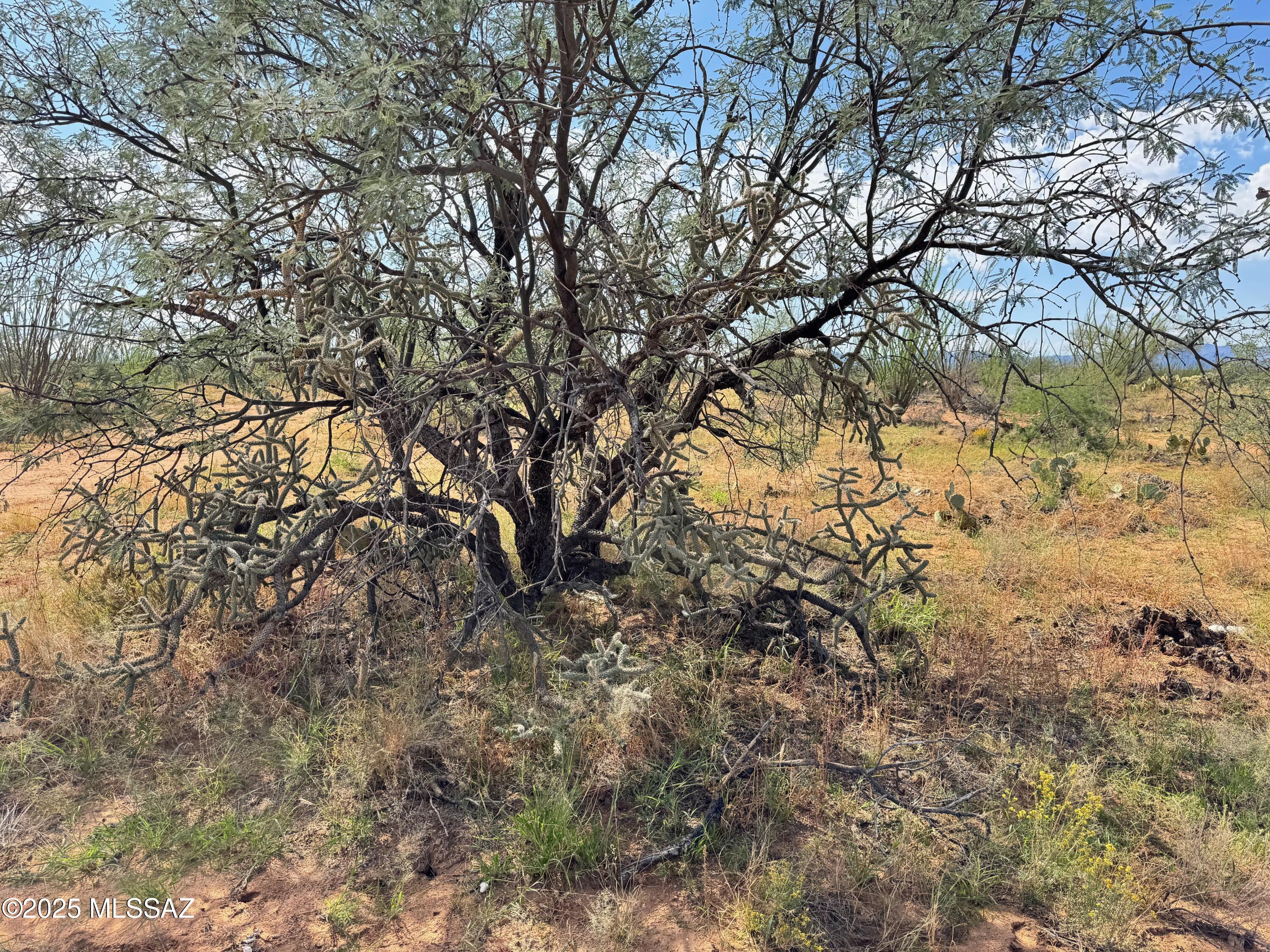 Diamond Bell Ranch - Tucson Unit 6 (1-435) - Land