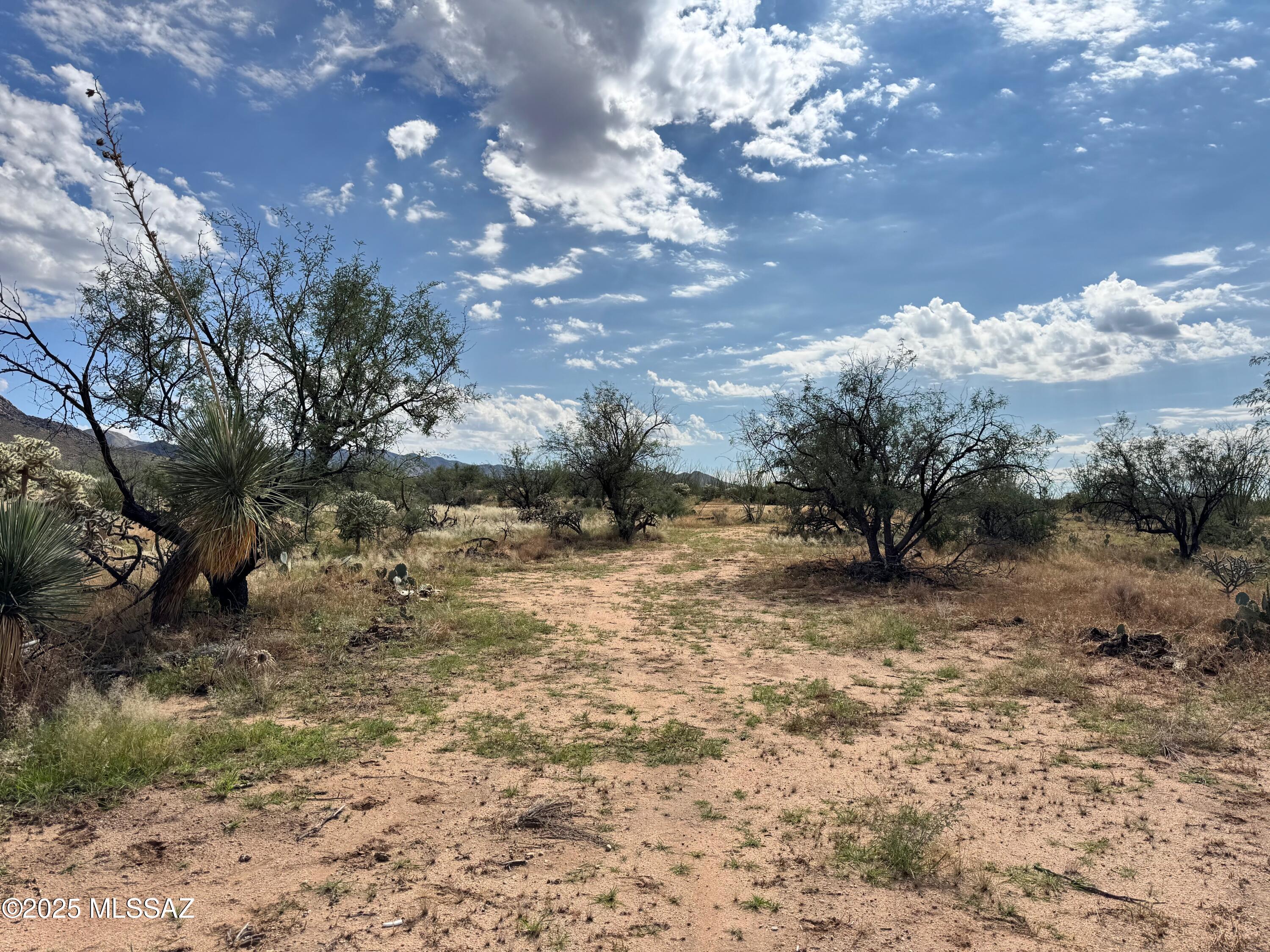 Diamond Bell Ranch - Tucson Unit 6 (1-435) - Land