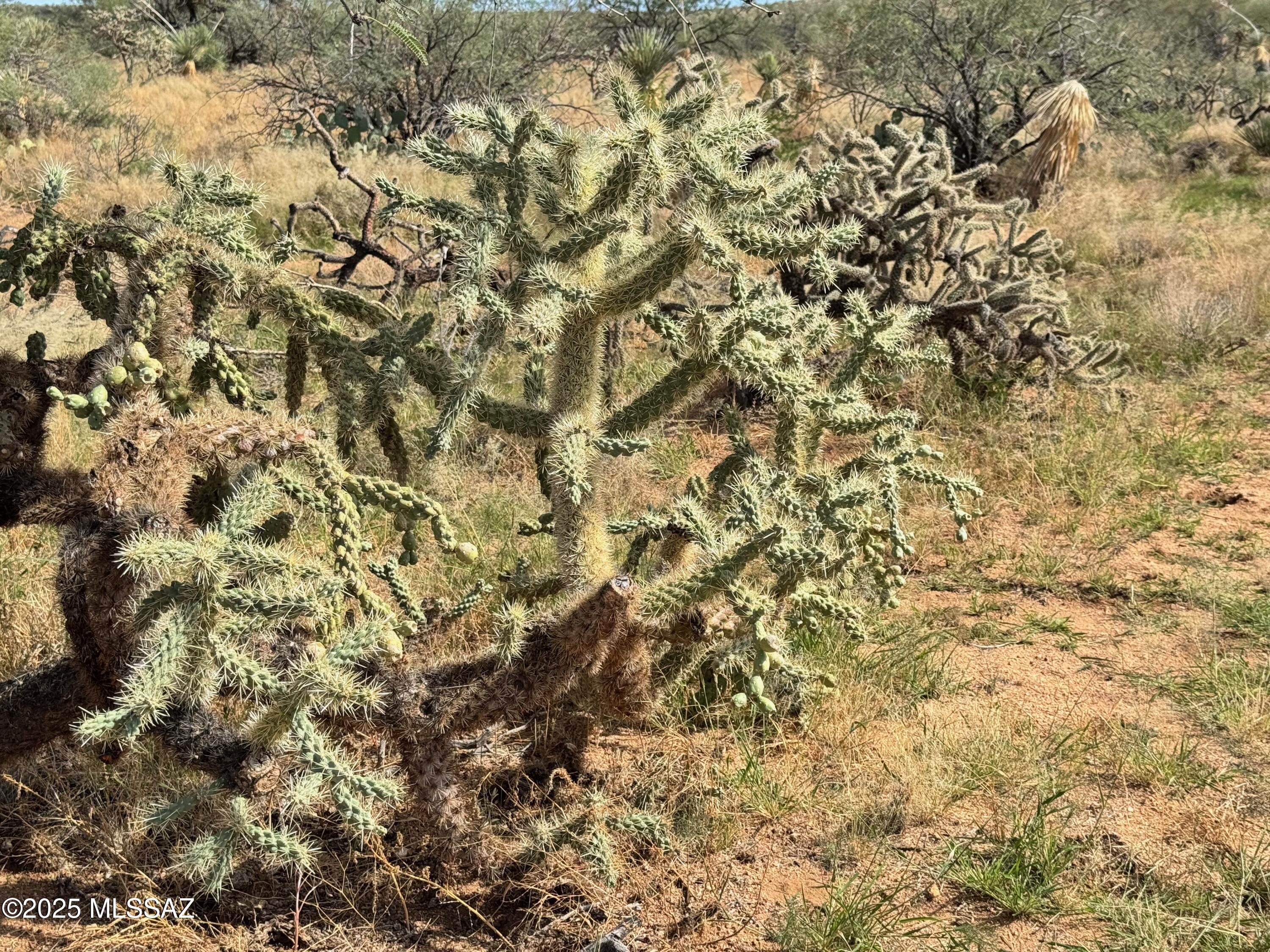 Diamond Bell Ranch - Tucson Unit 6 (1-435) - Land