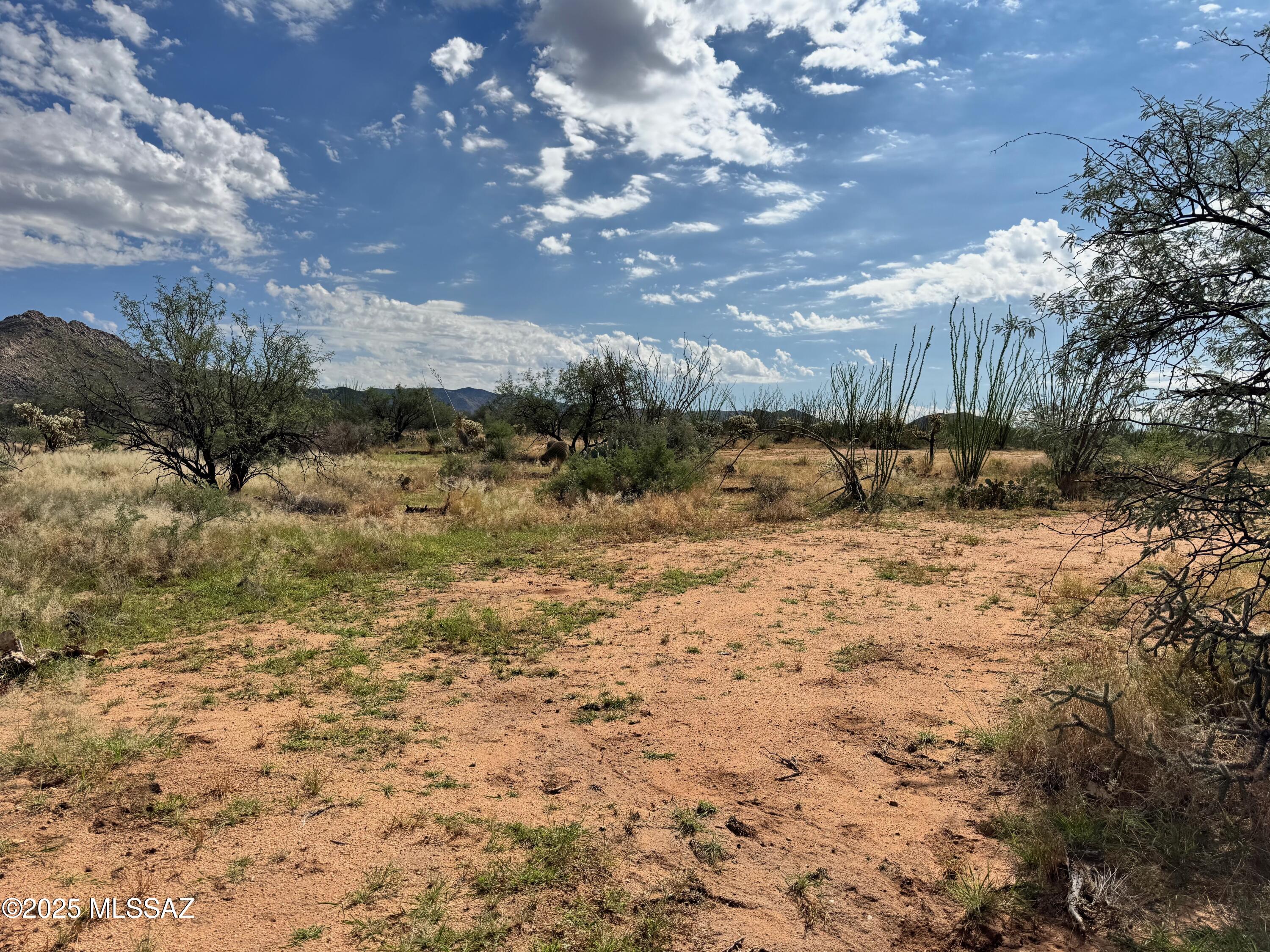 Diamond Bell Ranch - Tucson Unit 6 (1-435) - Land