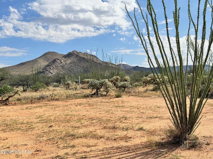 Close to State land and main road that is nicely maintained by the county in Rural Diamond Bell Ranch Subdivision. Seller has put some money into this one adding a nice ranch gate and fencing all around the property to keep the cows out. Also a driveway has been added and a nice elevated parking area has been cleared for use. Views are impeccable and privacy abounds. Wash runs along the Western boundary leaving plenty of building space on the lot as it does not affect the property usability. Utilities are not to close at this time but there have been plans made to improve this area in the future. OR you can just live off grid like the neighbors do with solar power, battery back up, propane, hauled water or drill a well. Septic will be required for building. Don't miss out! This lot rocks!
