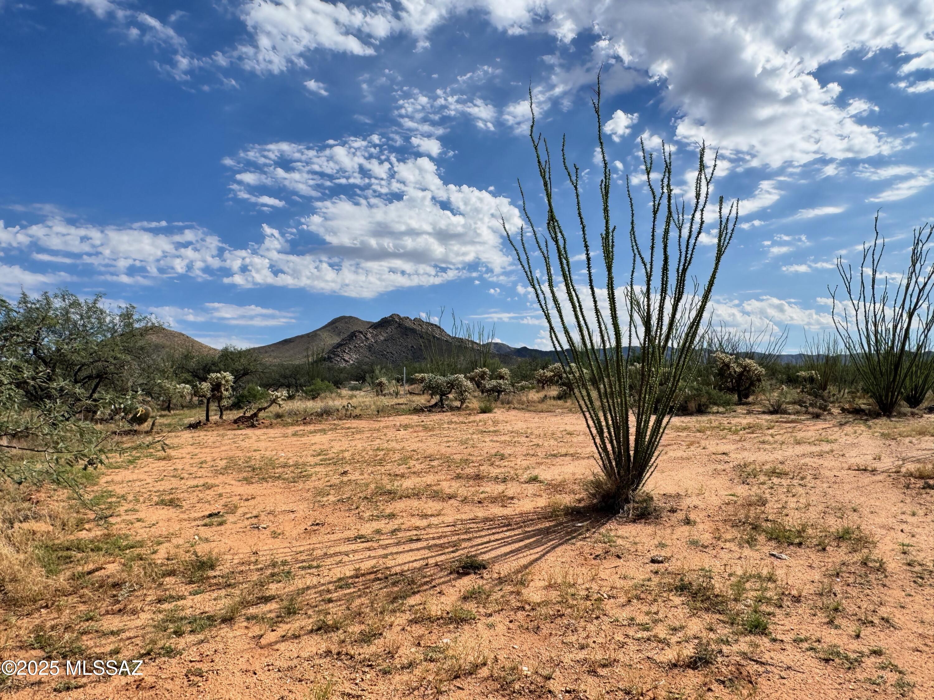 Diamond Bell Ranch - Tucson Unit 6 (1-435) - Land