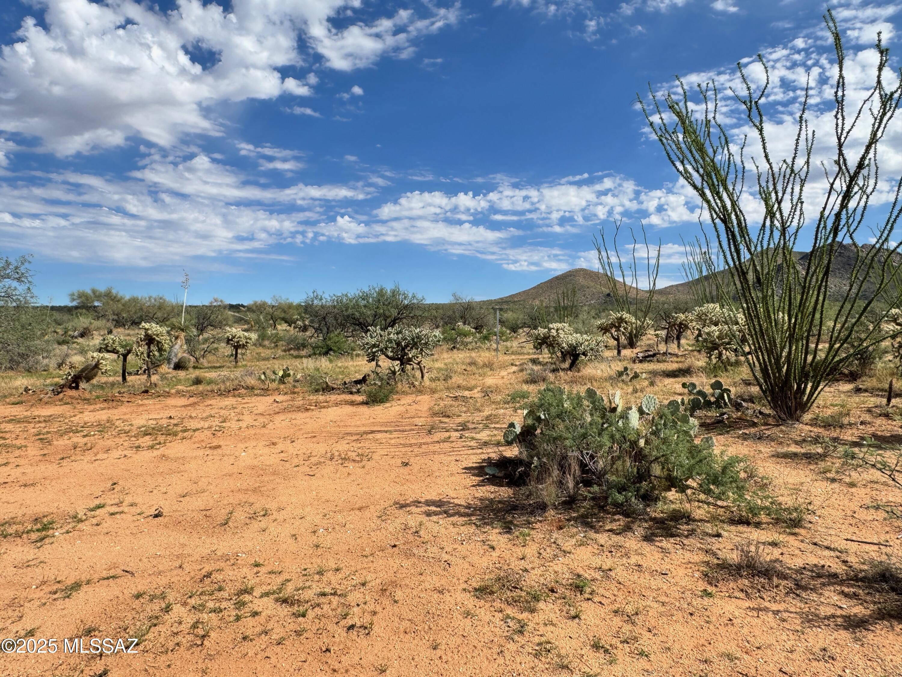 Diamond Bell Ranch - Tucson Unit 6 (1-435) - Land