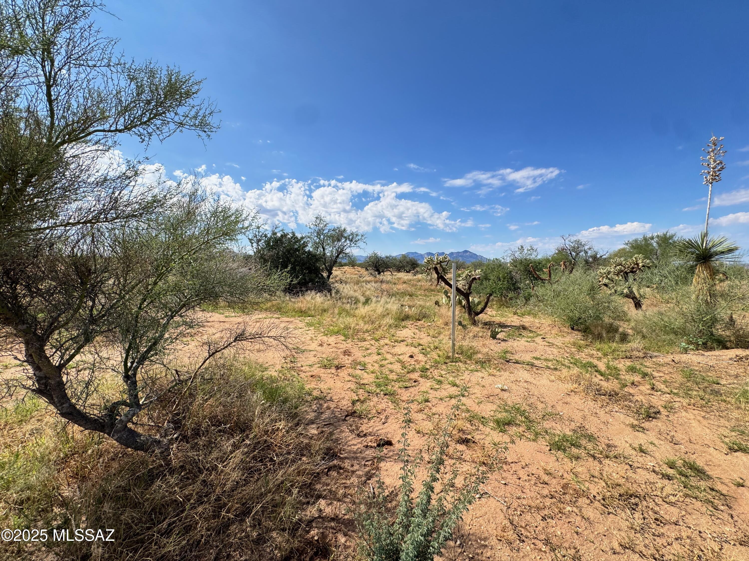 Diamond Bell Ranch - Tucson Unit 6 (1-435) - Land