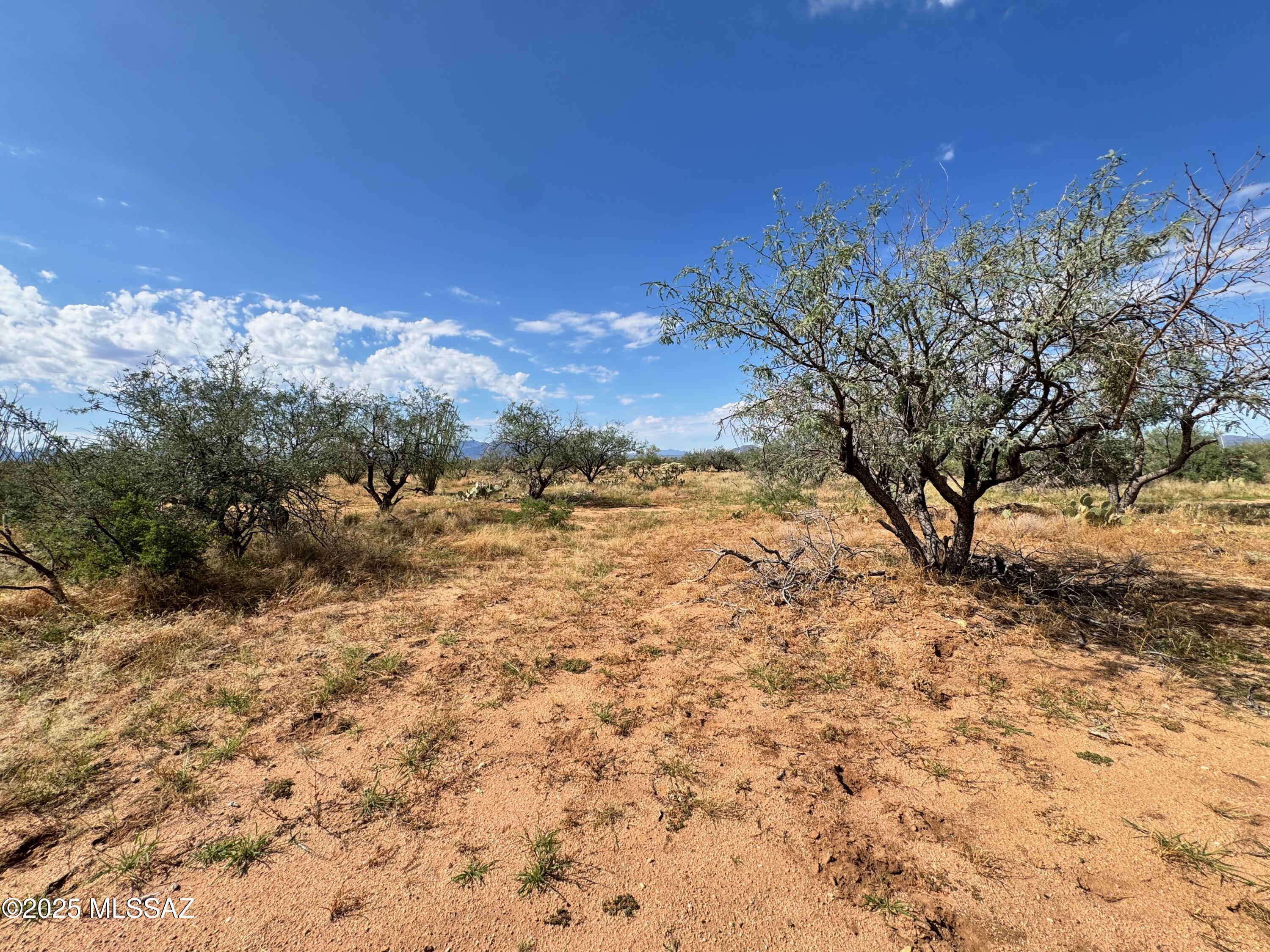 Diamond Bell Ranch - Tucson Unit 6 (1-435) - Land