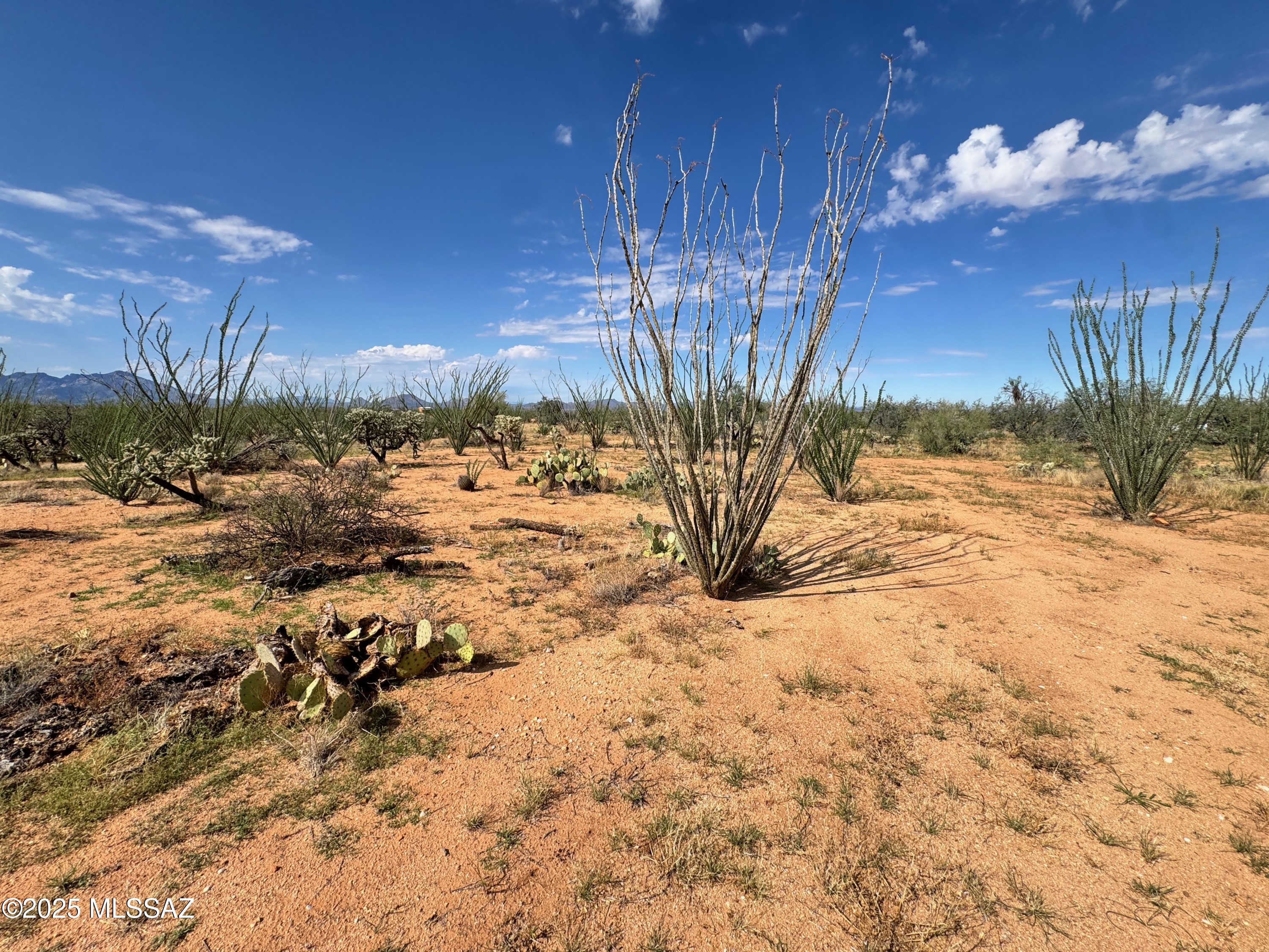 Diamond Bell Ranch - Tucson Unit 6 (1-435) - Land
