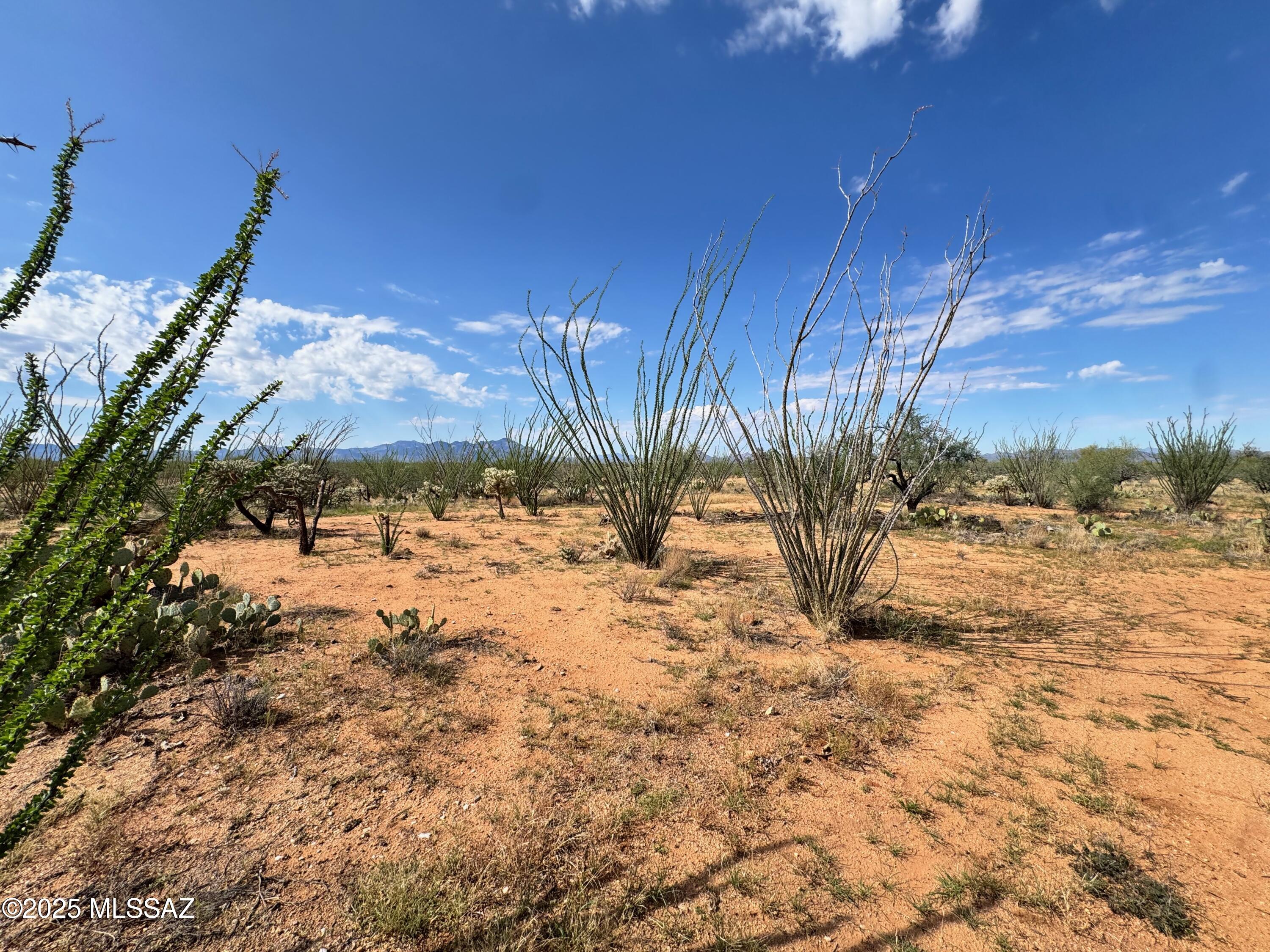Diamond Bell Ranch - Tucson Unit 6 (1-435) - Land