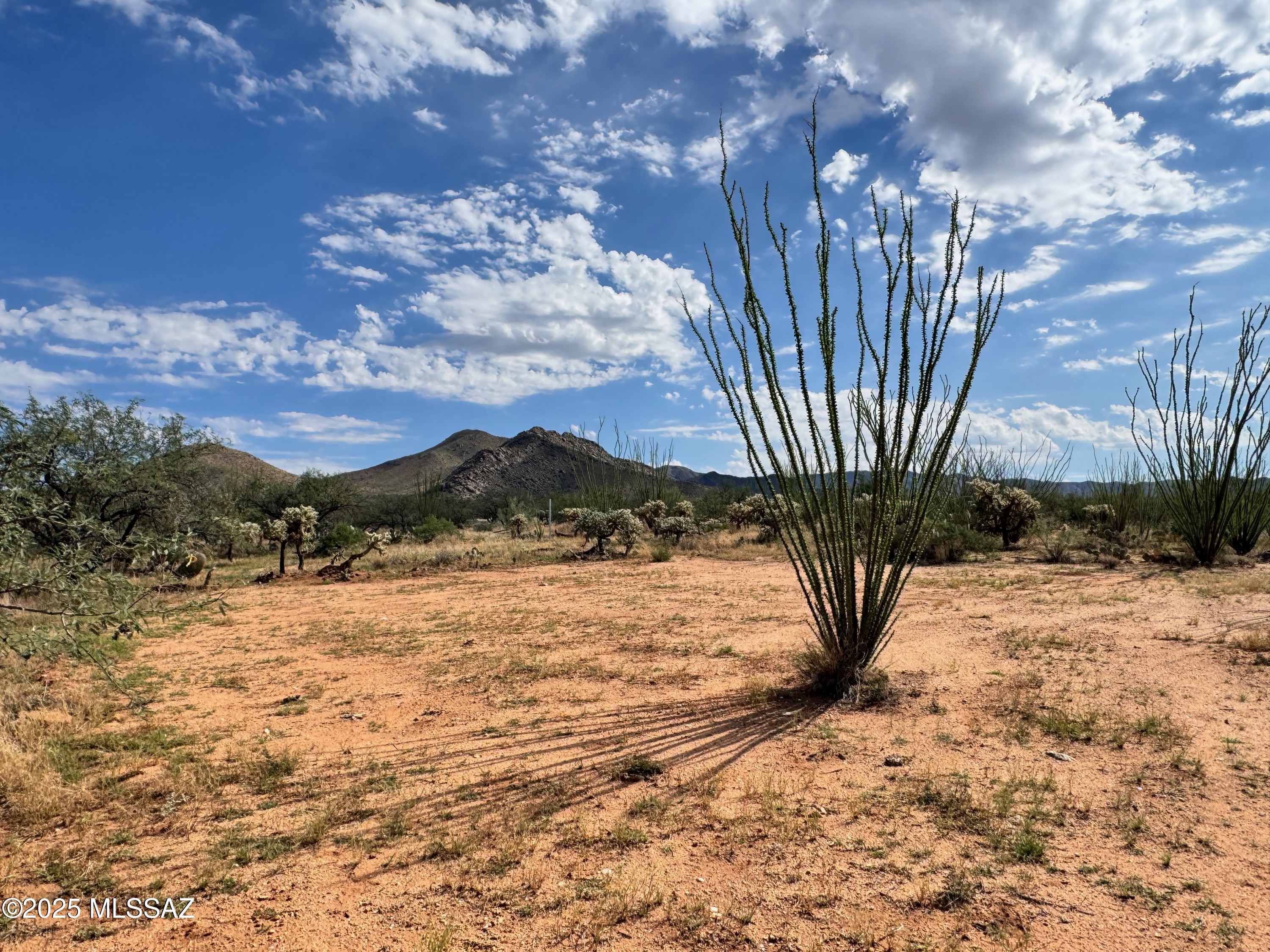 Diamond Bell Ranch - Tucson Unit 6 (1-435) - Land