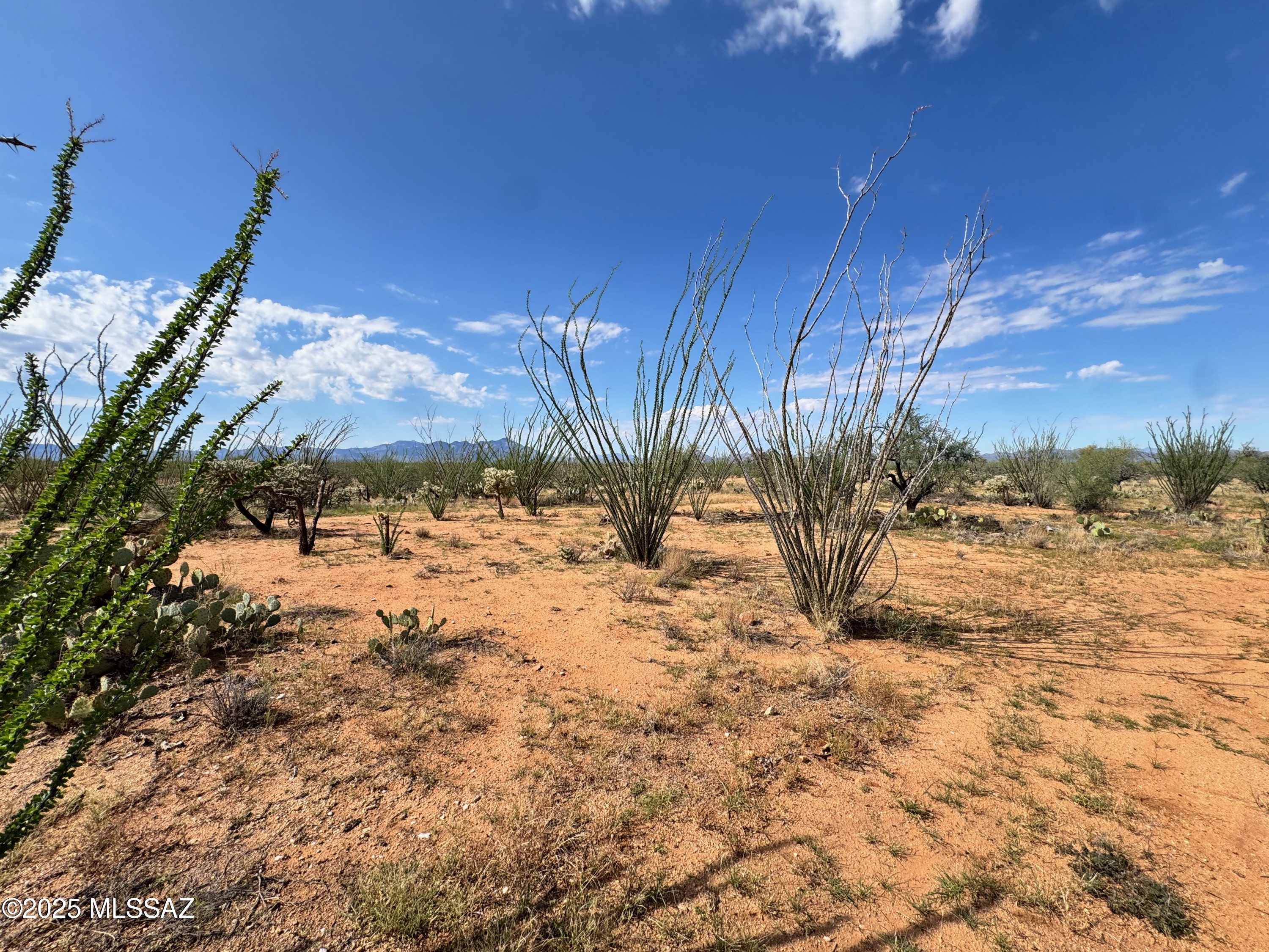 Diamond Bell Ranch - Tucson Unit 6 (1-435) - Land