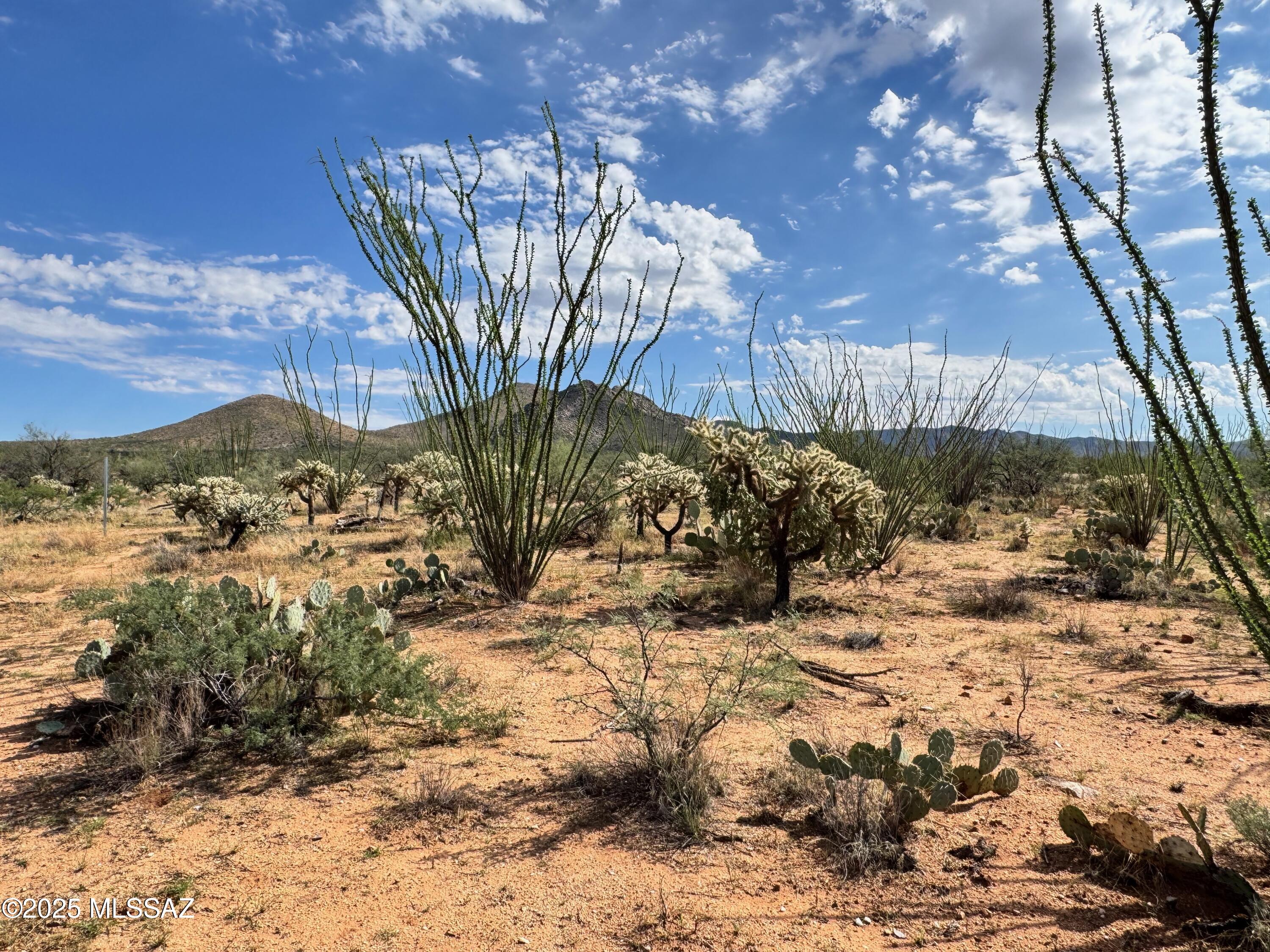 Diamond Bell Ranch - Tucson Unit 6 (1-435) - Land