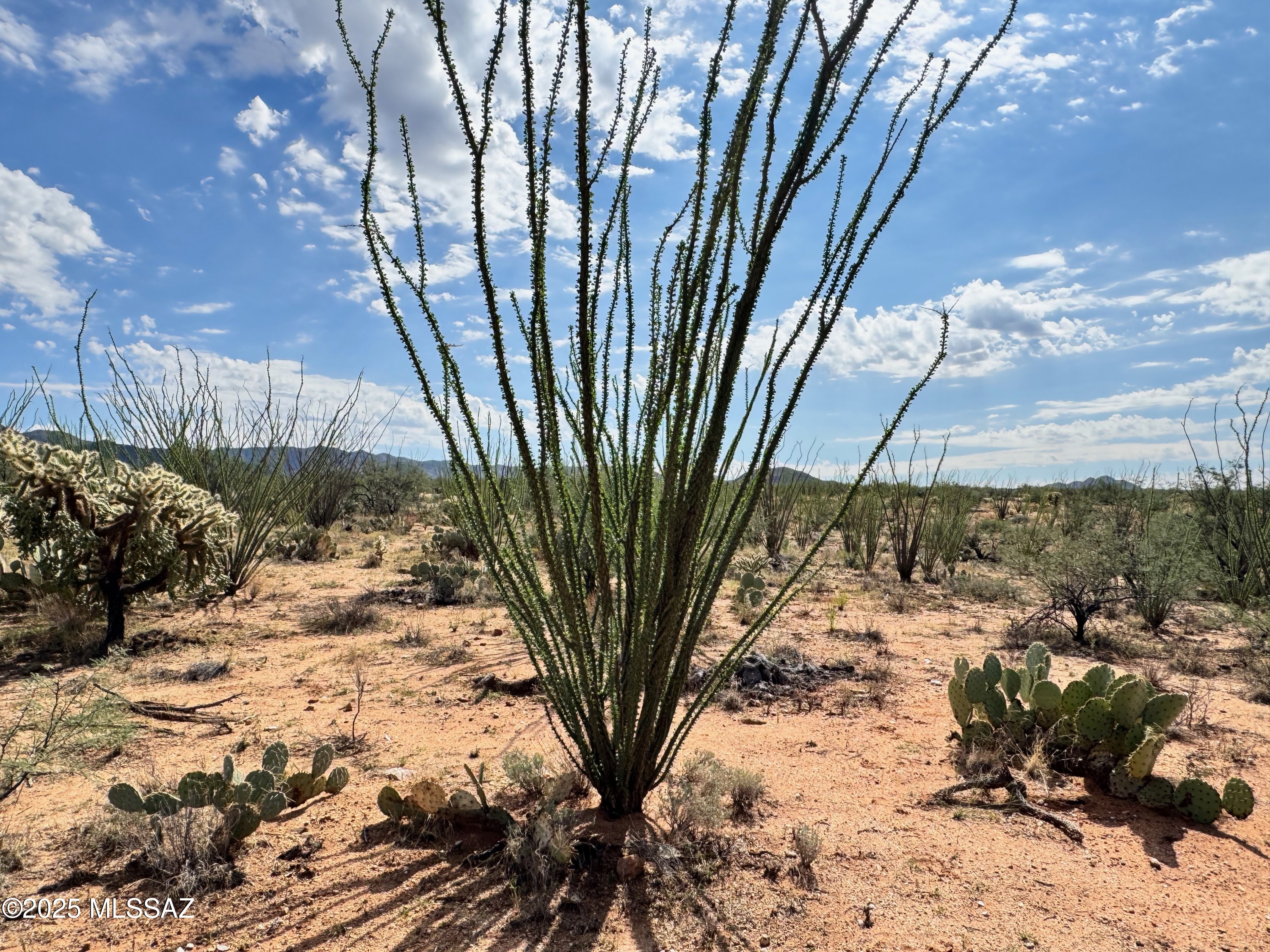 Diamond Bell Ranch - Tucson Unit 6 (1-435) - Land