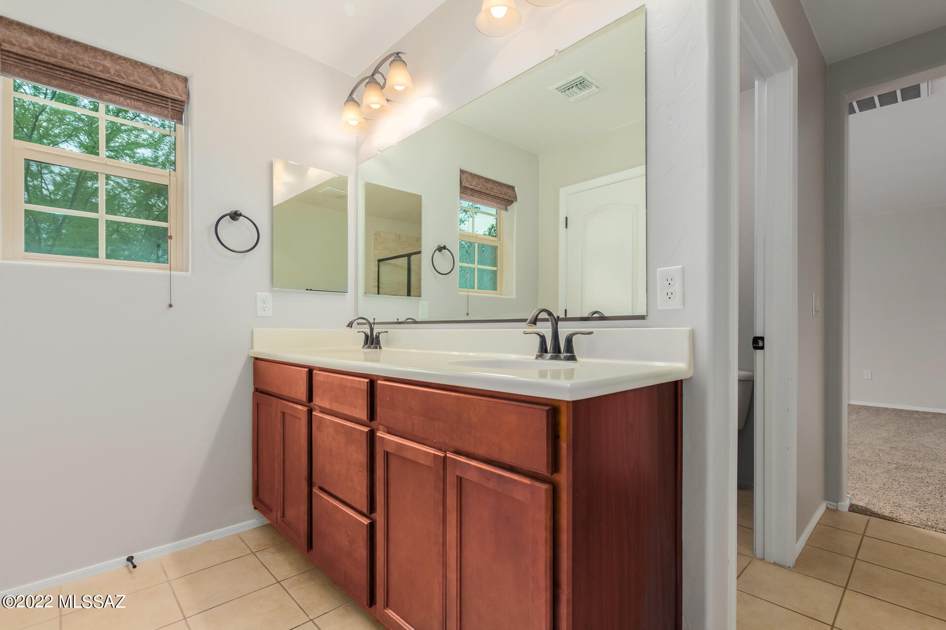 Presidios at Rancho Sahuarita (1-927) - Residential