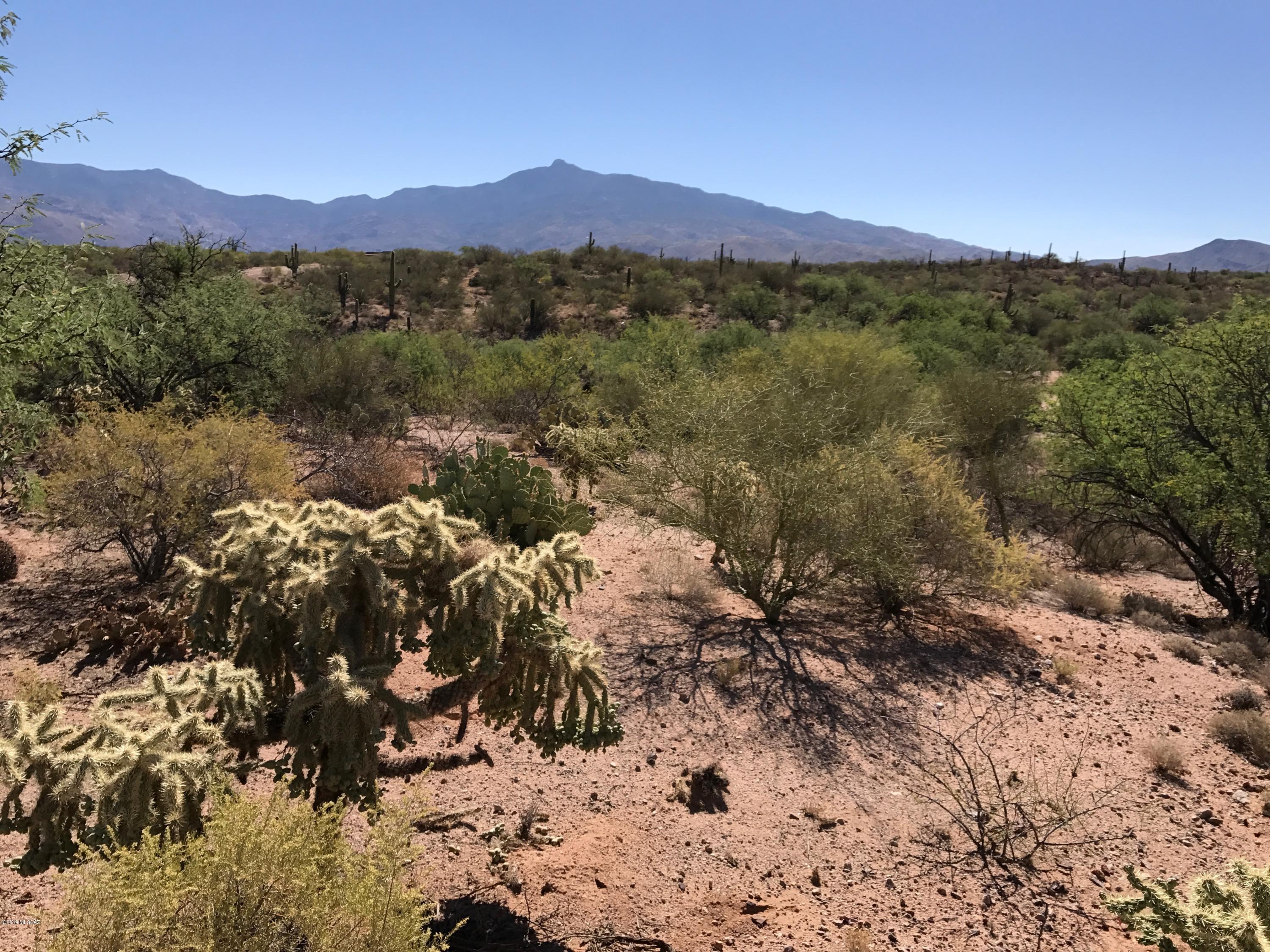 Coyote Creek (1-395) - Land
