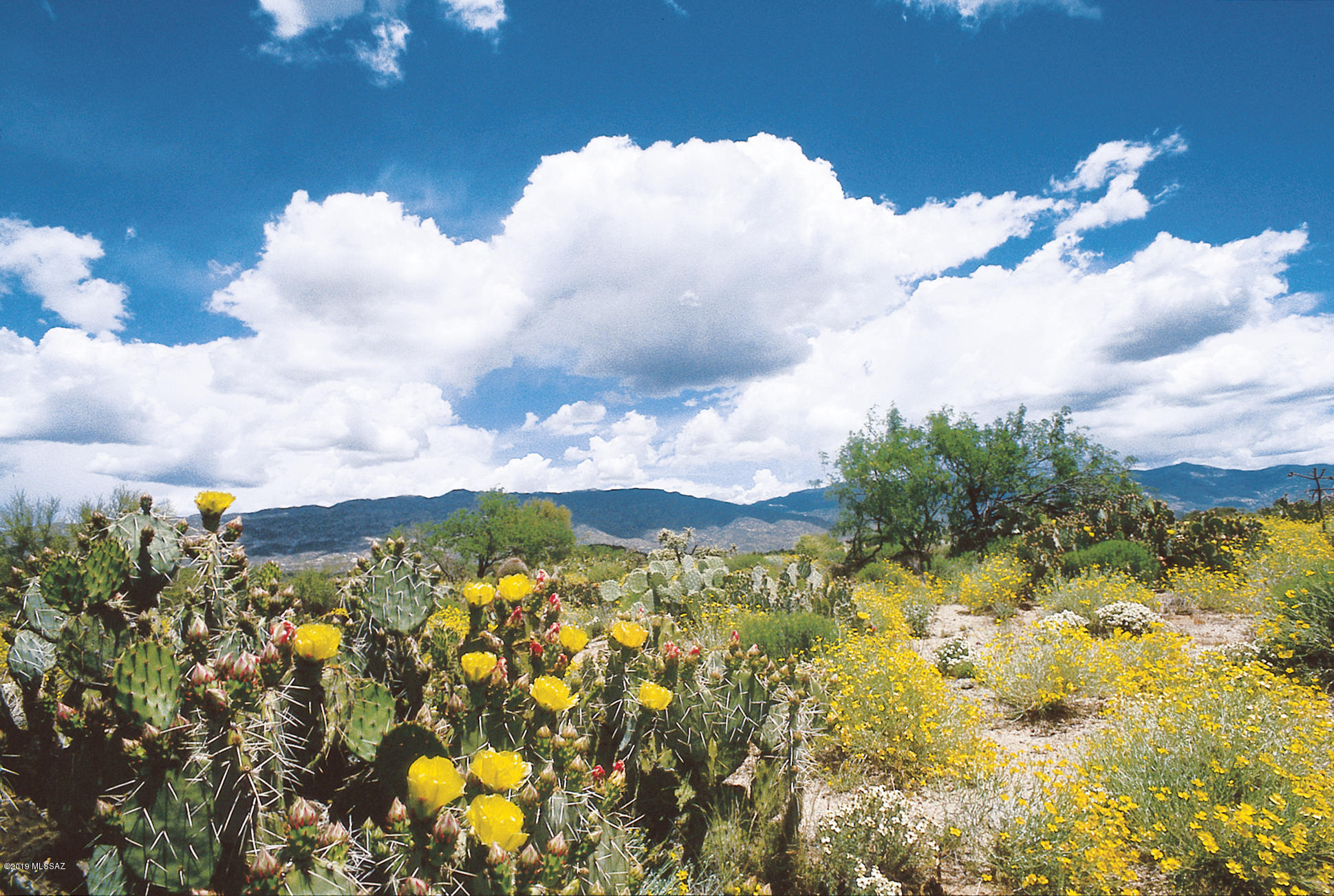 Coyote Creek (1-395) - Land
