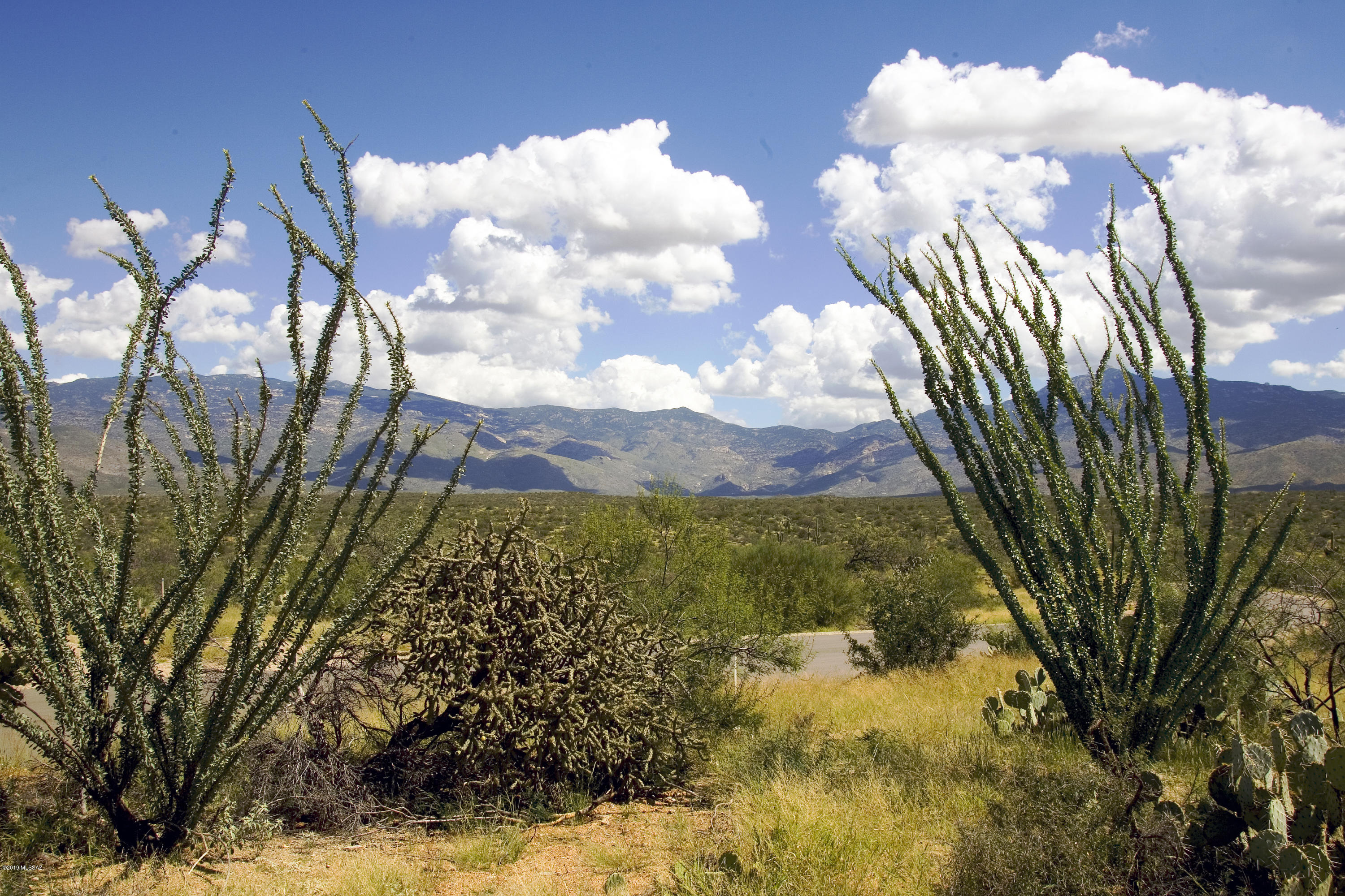 Coyote Creek (1-395) - Land