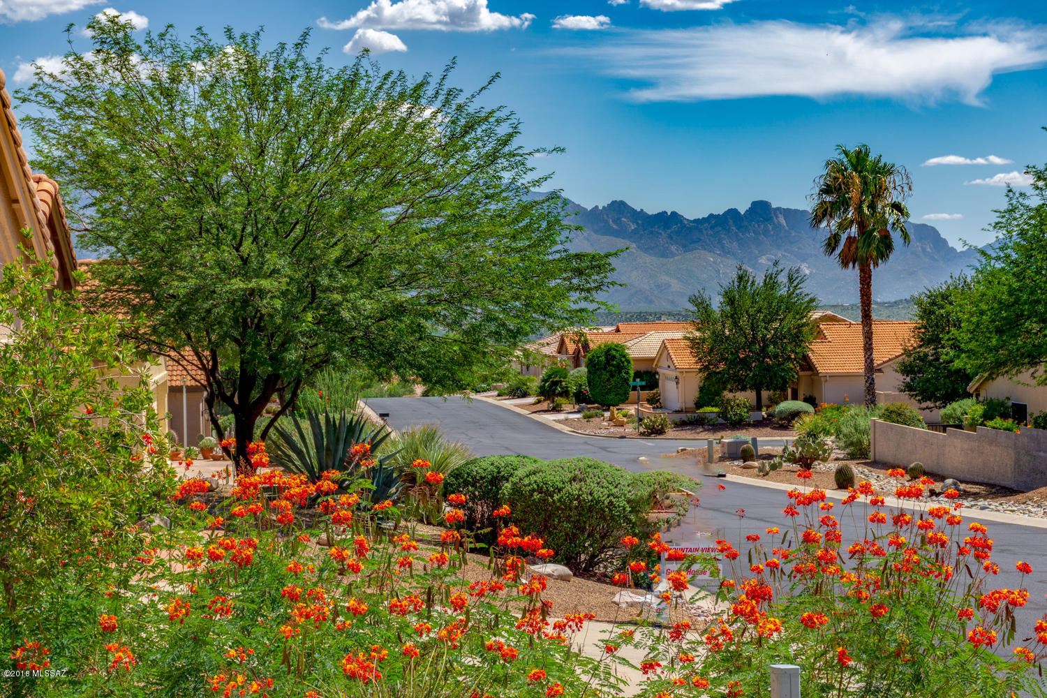 Saddlebrooke - Residential