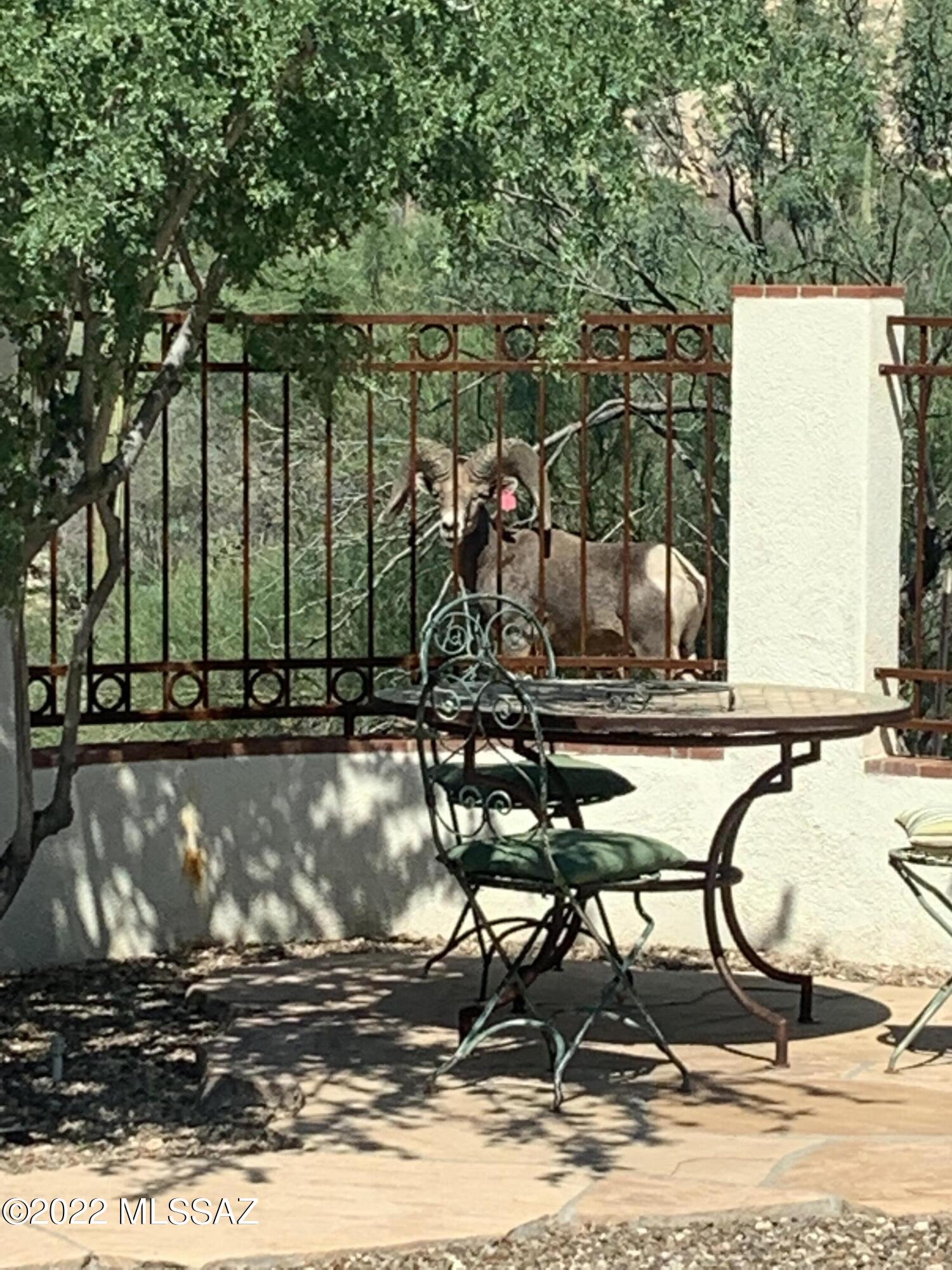 Rancho Catalina(107-221) - Residential
