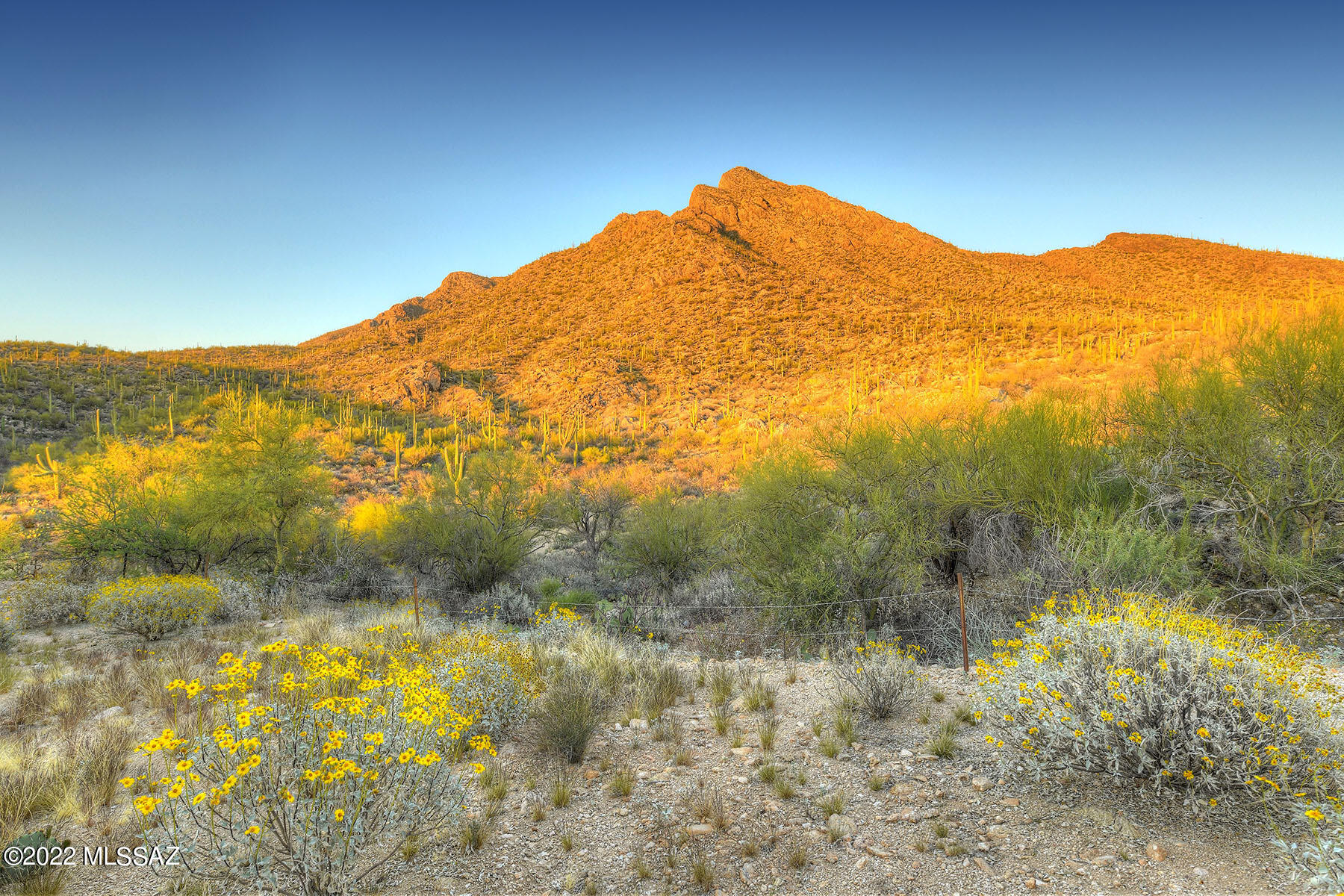 Rancho Catalina(107-221) - Residential